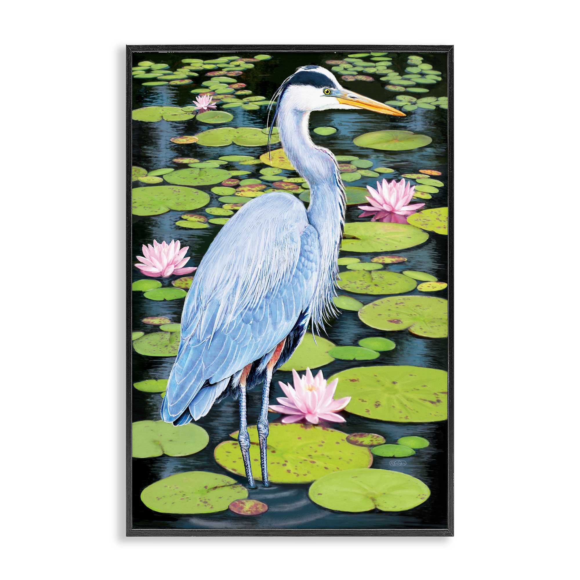 Stupell Industries  Heron Among Pond Lilies Black Framed Giclee Art By Rosiland Solomon 16 x 24