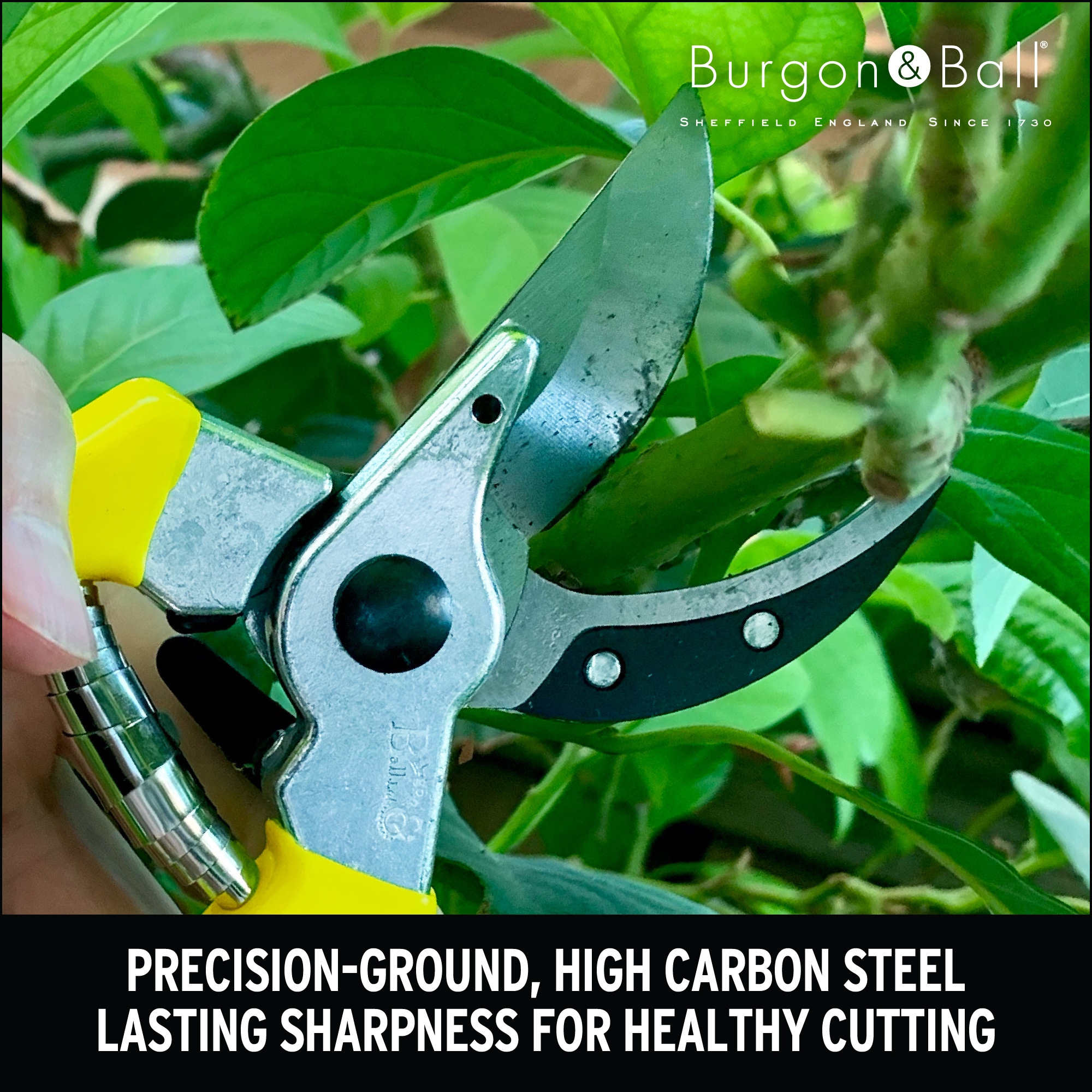 Burgon & Ball GFB/BSYELL Hand-Pruners - View #4