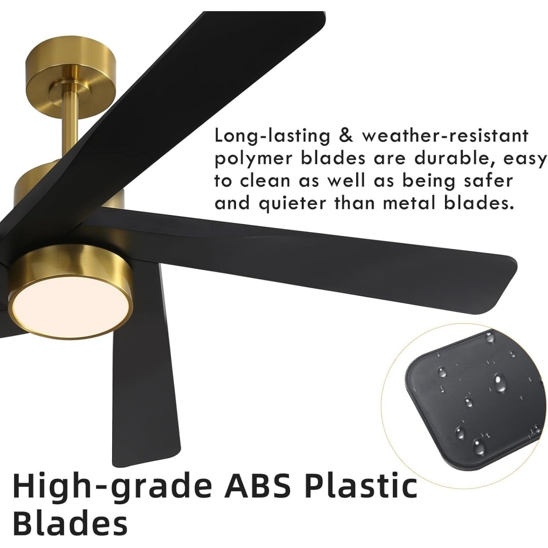 MLIAN WBCF-BS124-GB Ceiling-Fans - View #2