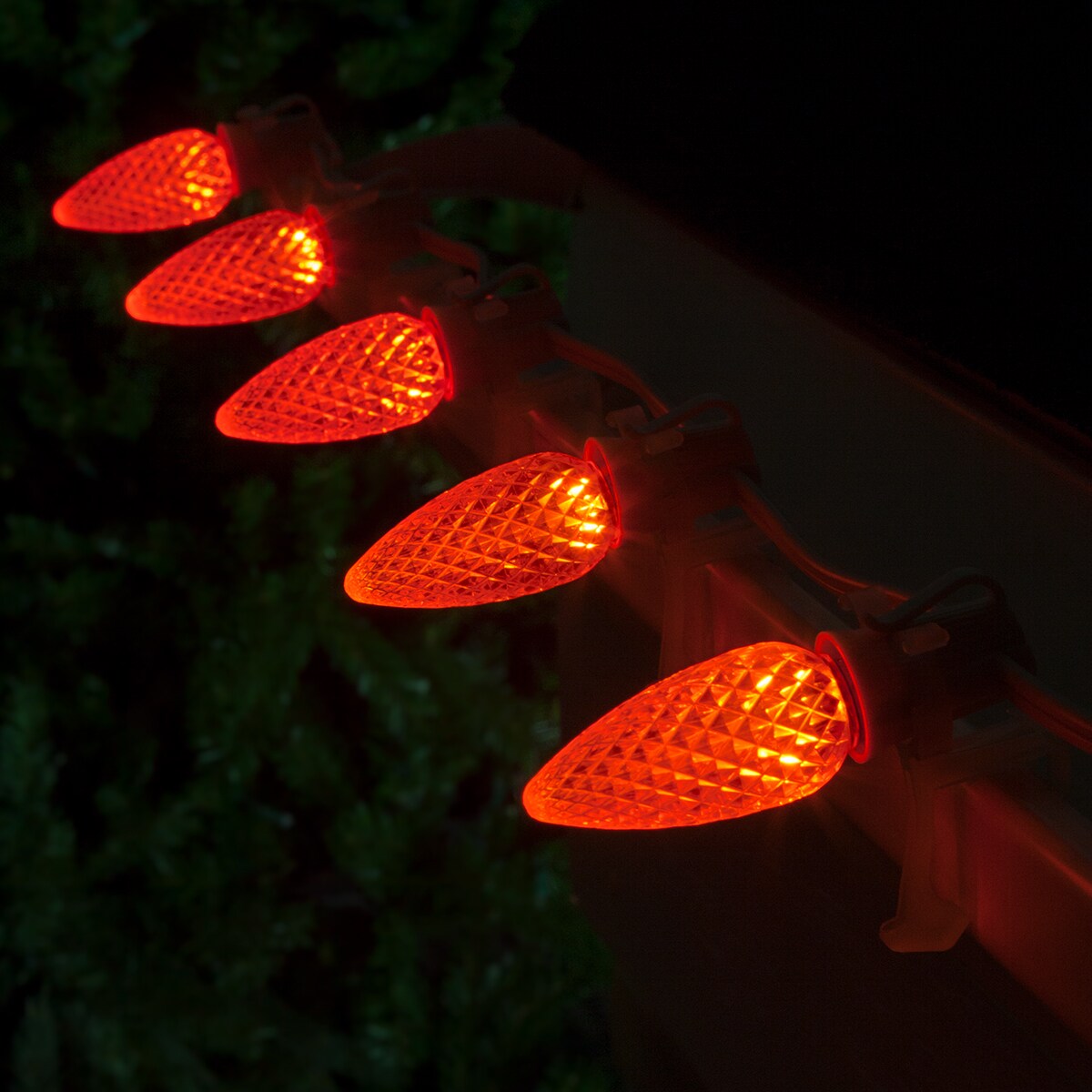 Wintergreen Lighting 72652 String-Light-Bulbs-Fuses - View #4