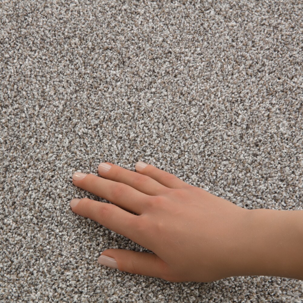 STAINMASTER 7L95500500 Carpet-Panel - View #4