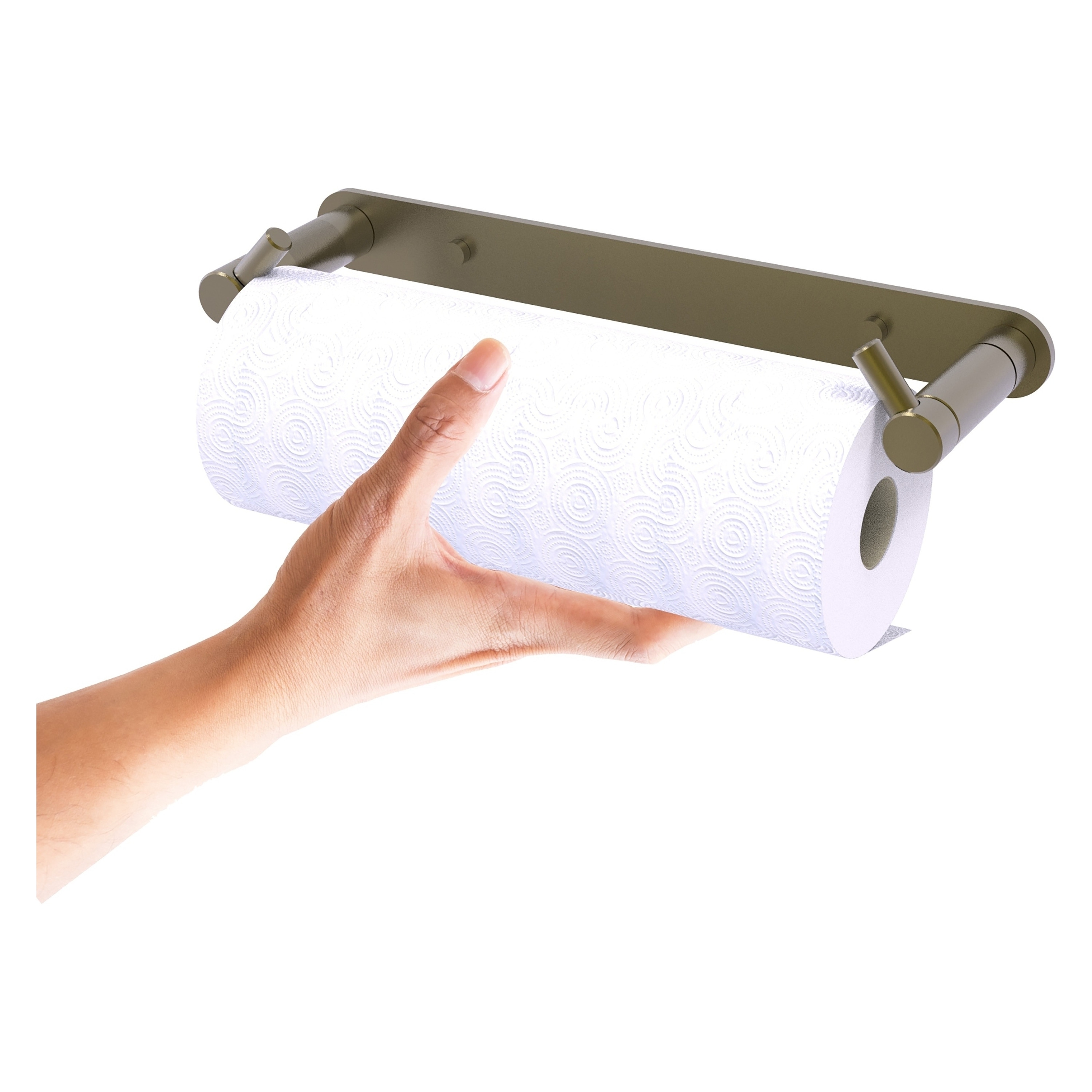 Style Selections White Plastic Wall-mount Paper Towel Holder in
