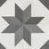 Gray Star