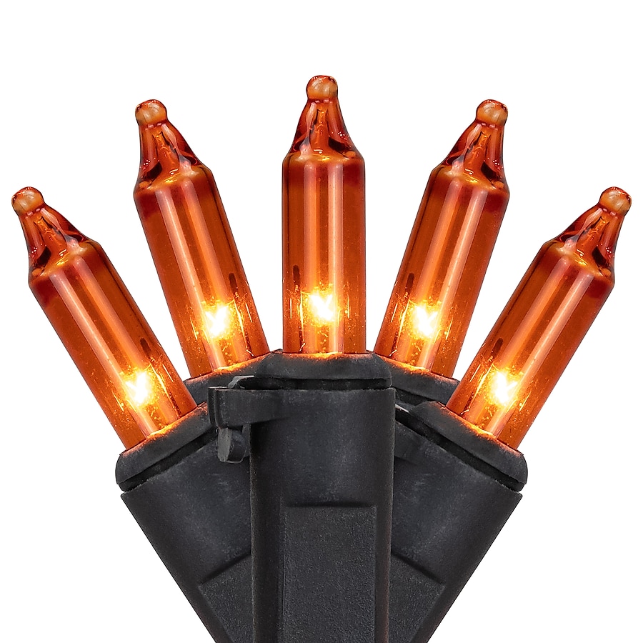 Northlight 120-ft 50-Light Clear Glass-Shade Plug-In Bulbs Incandescent String Lights Northlight 120-ft 50-Light Clear Glass-Shade Plug-In Bulbs Incandescent String Lights