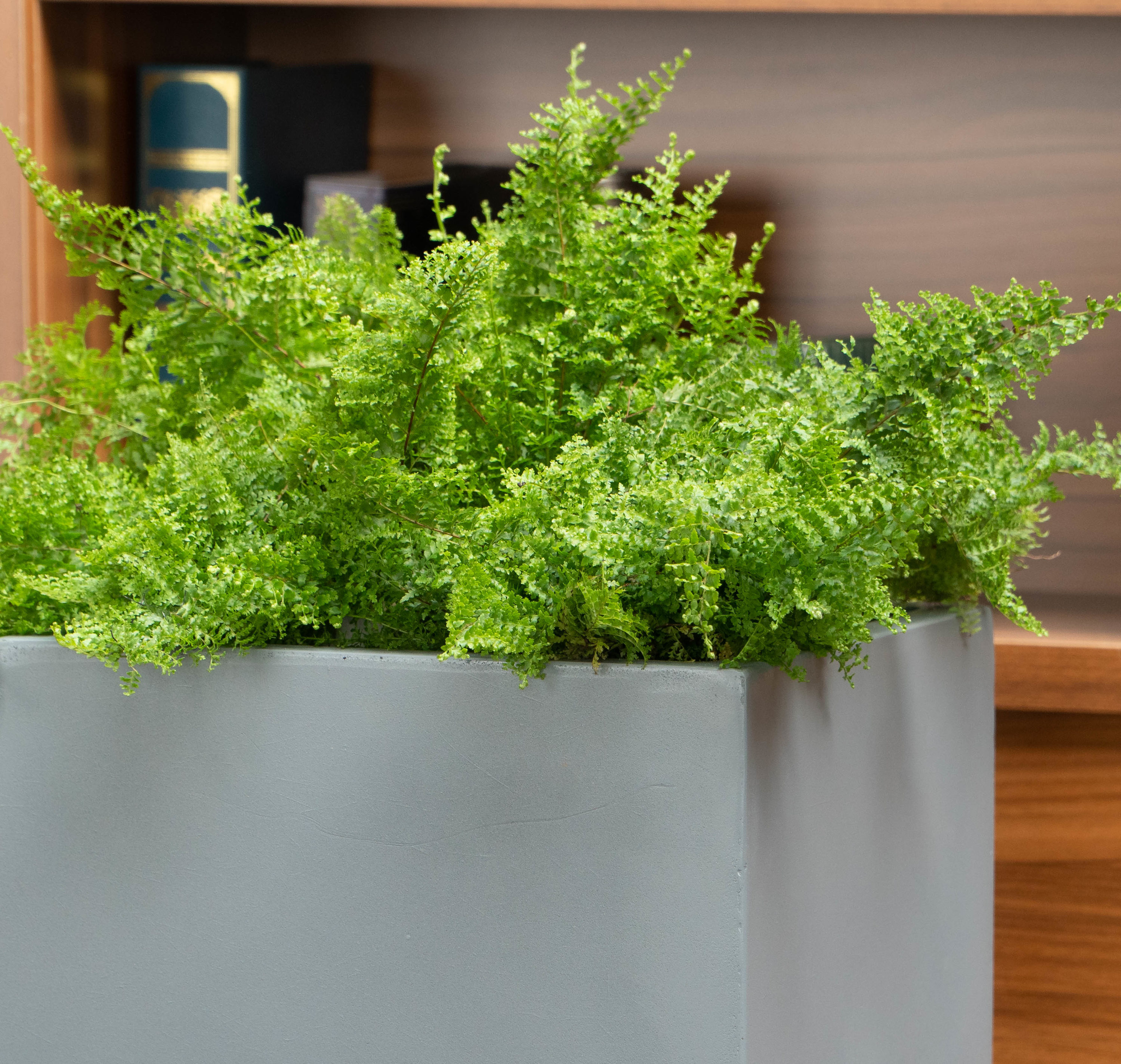 Vasesource BRISTOL391414CM Planter-Window-Box - View #3
