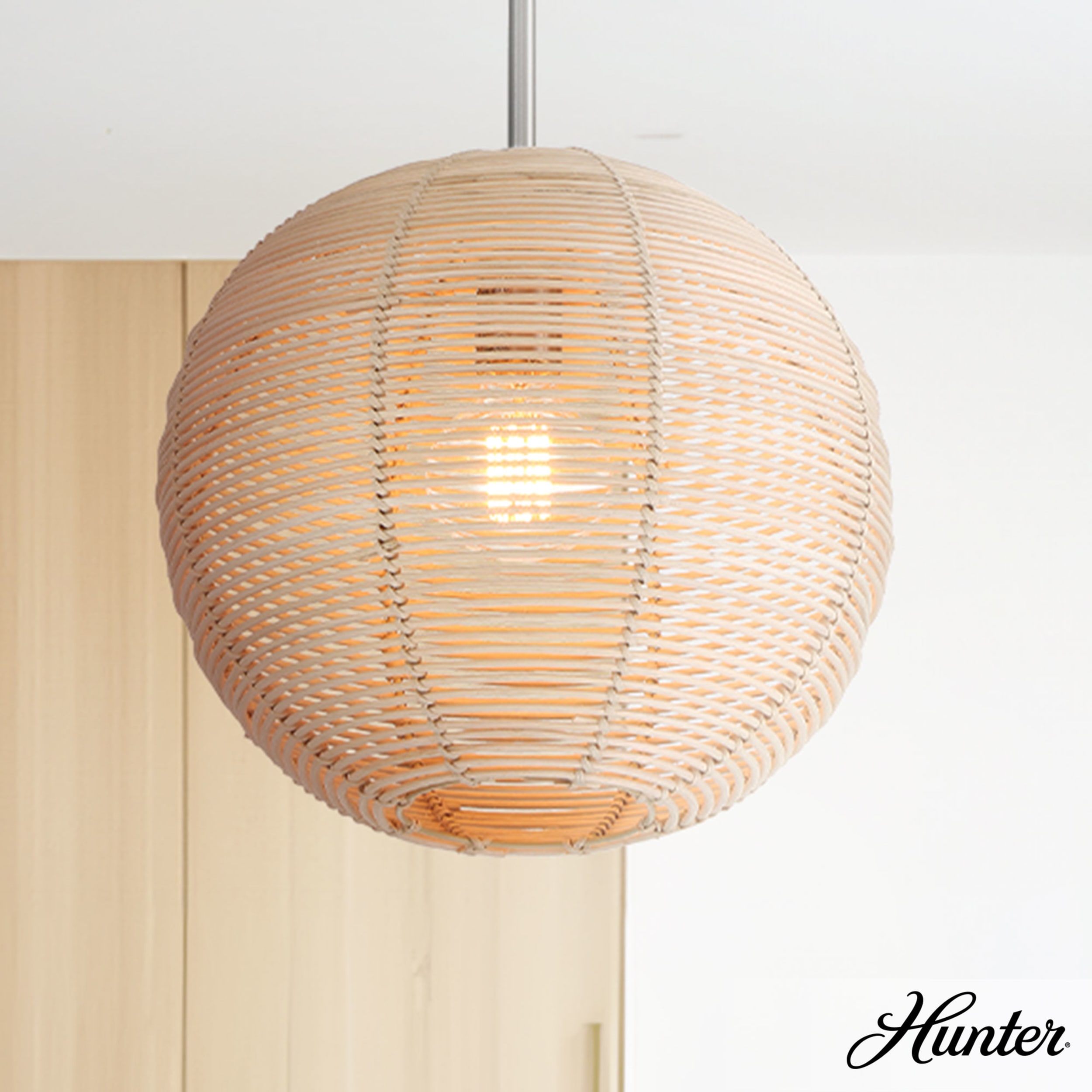 Hunter 48086 Pendant-Lights - View #3