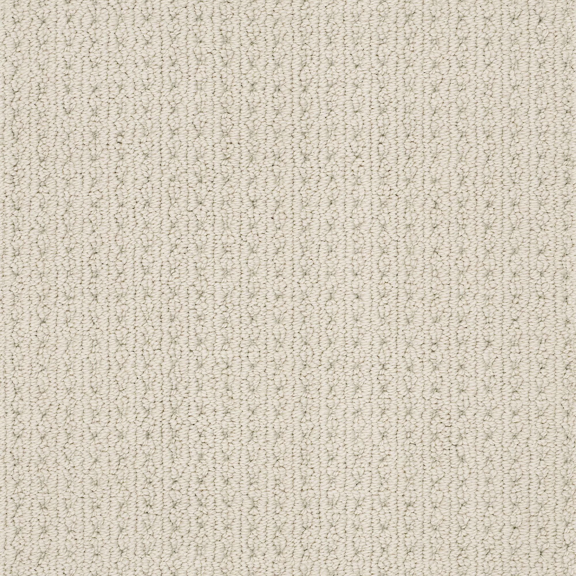STAINMASTER 7L874 - 113 - SAMP (Sample) Revitalized Natural Off-white 34.1-oz sq yard Polyester Textured Indoor Carpet