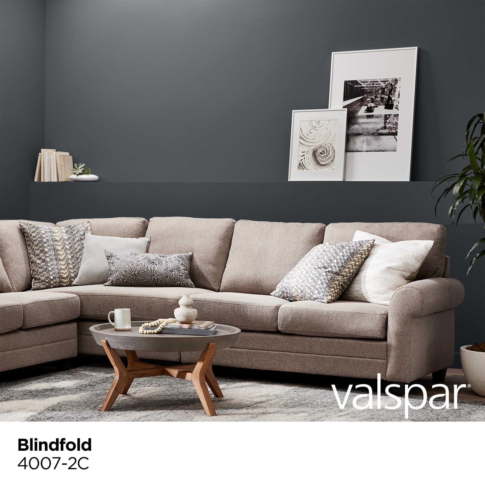 Valspar 4007-2C-407290 Int-Ext-Paint - View #2