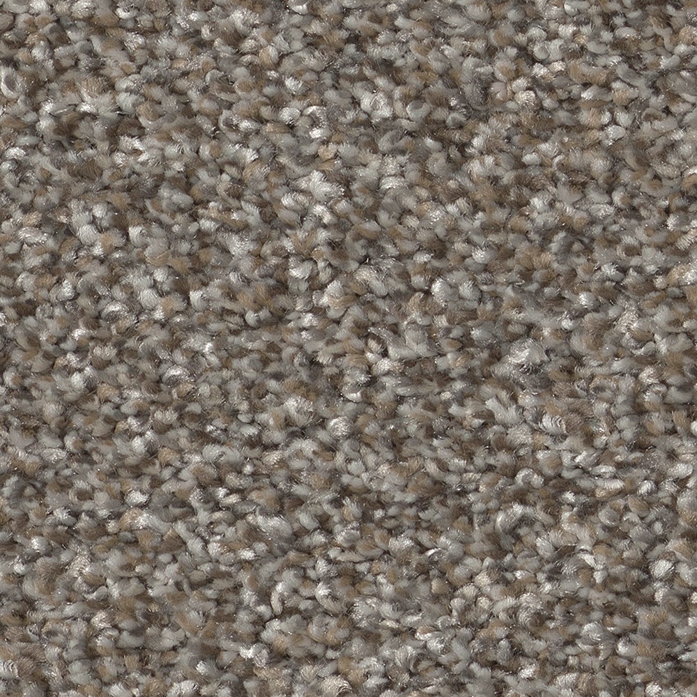 STAINMASTER 7L95500701 Animated I Coffee Brown 48.8-oz sq yard Solution-dyed polyester Textured Indoor Carpet