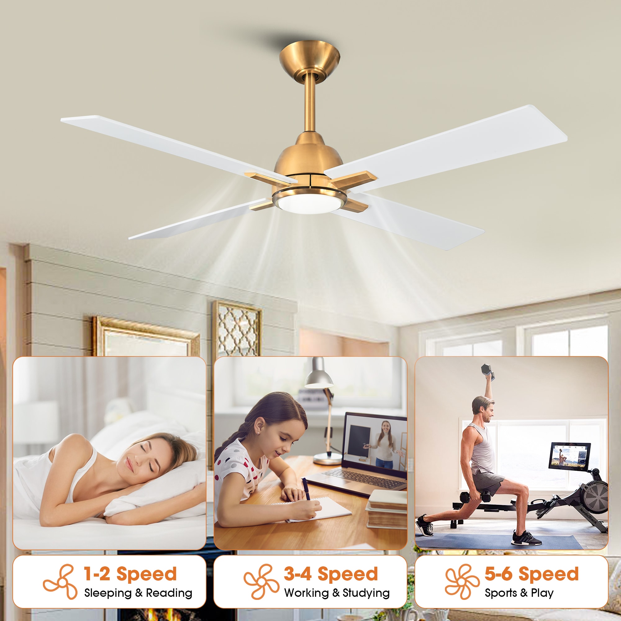 Parrot Uncle F6363110V Ceiling-Fans - View #7