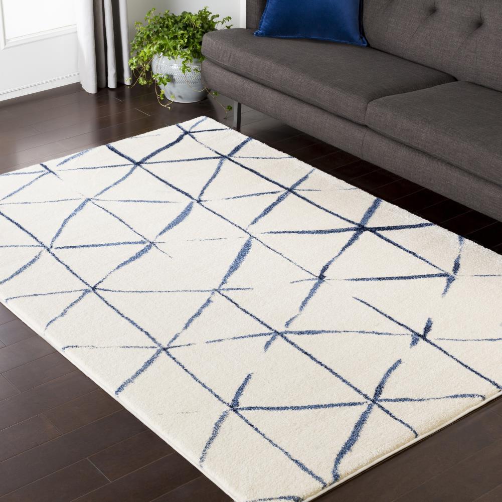 Surya BYL1006-7101010 rugs - View #2