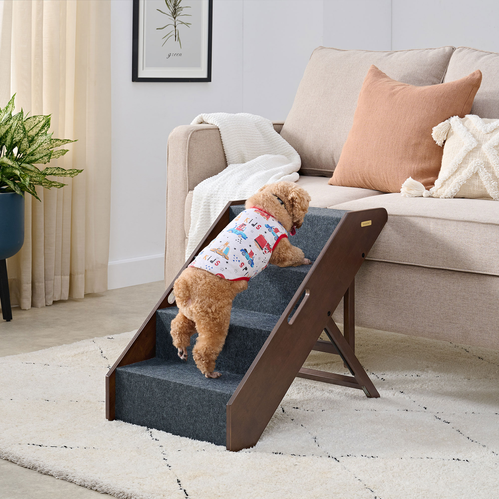 Lowes pet steps best sale