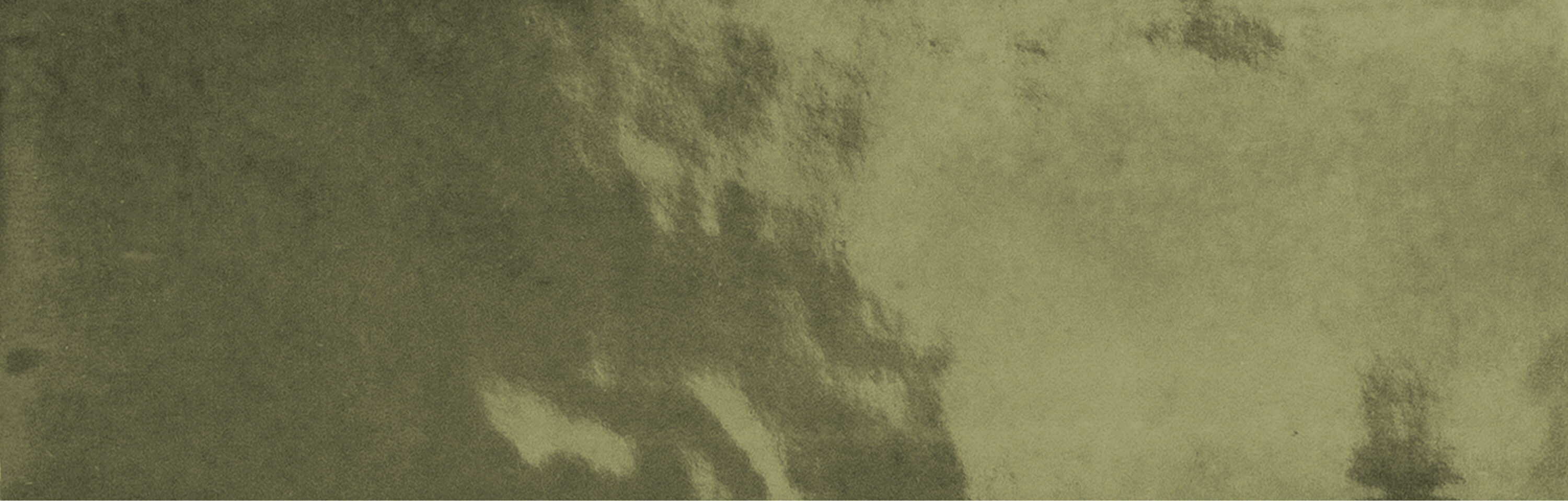 Affinity Tile S1WEQ6CCGMVR Tile-Samples - View #2