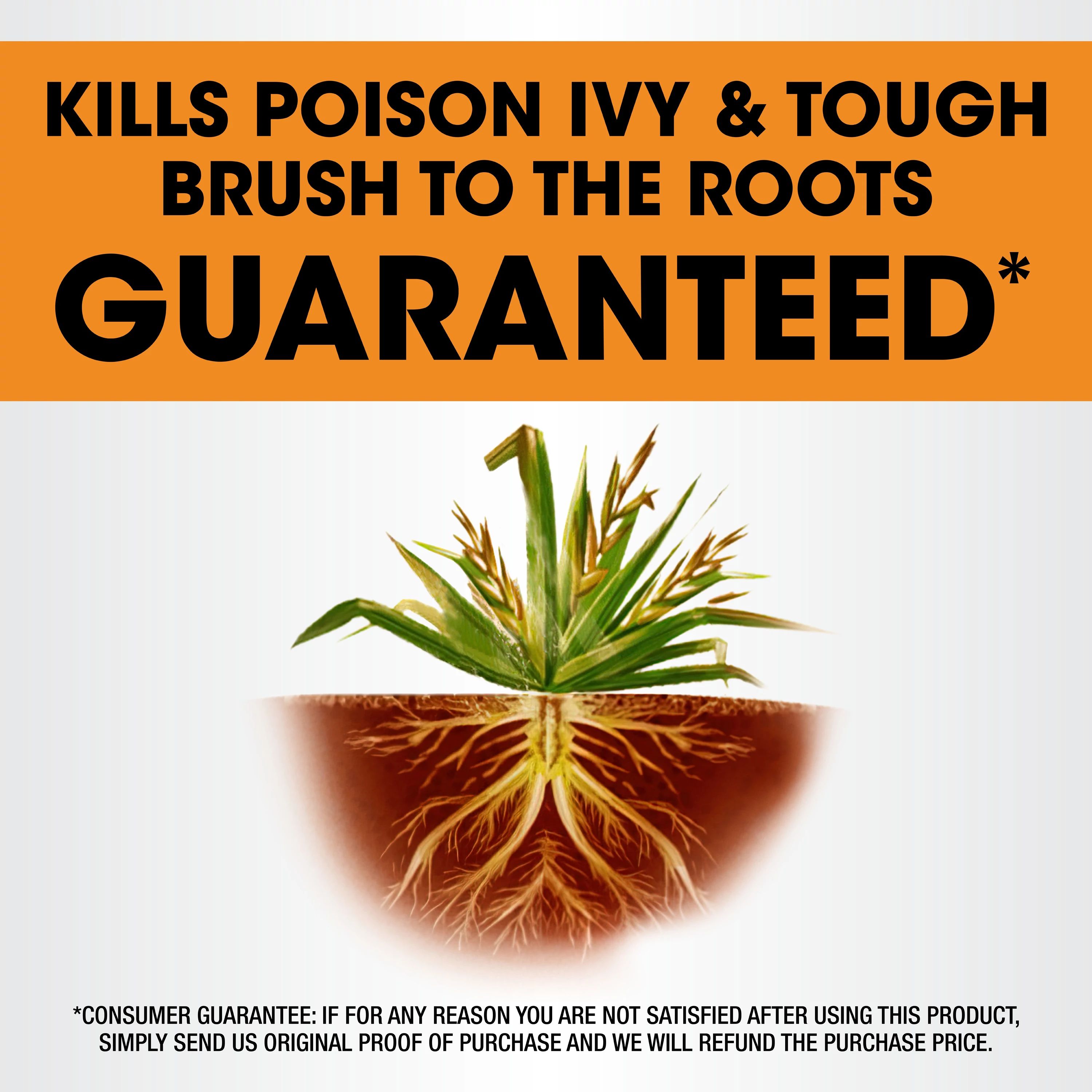 Roundup 5378404 Weed-Killers - View #4