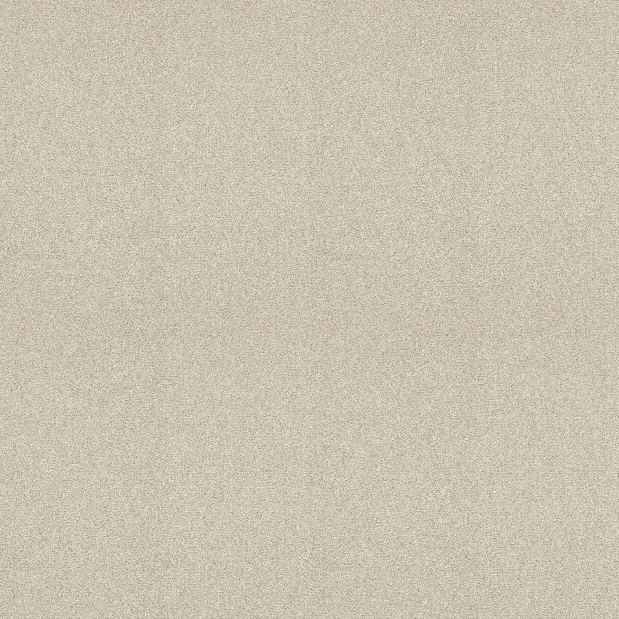 STAINMASTER PetProtect 7L881 - 156 - SAMP (Sample) Best Of Breed I Bleached Slate Off-white 48.8-oz sq yard Nylon Textured Indoor Carpet