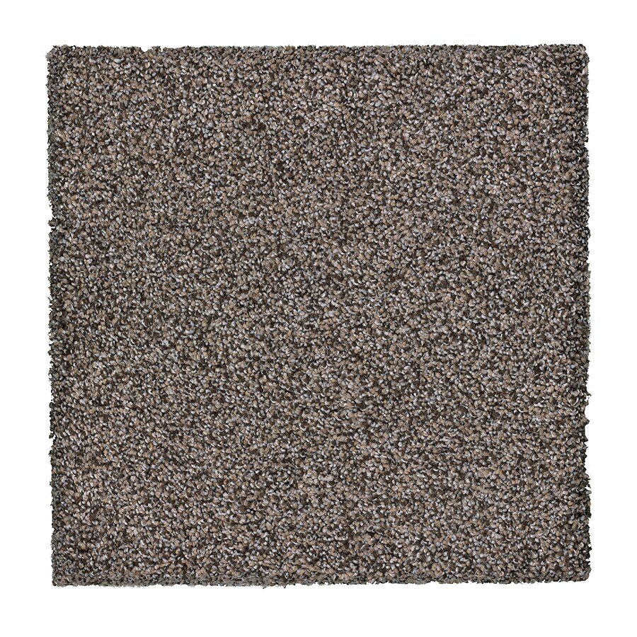 STAINMASTER S611677CONCRETE-RETE (Sample) Essentials Stone Peak III Concrete Textured Carpet