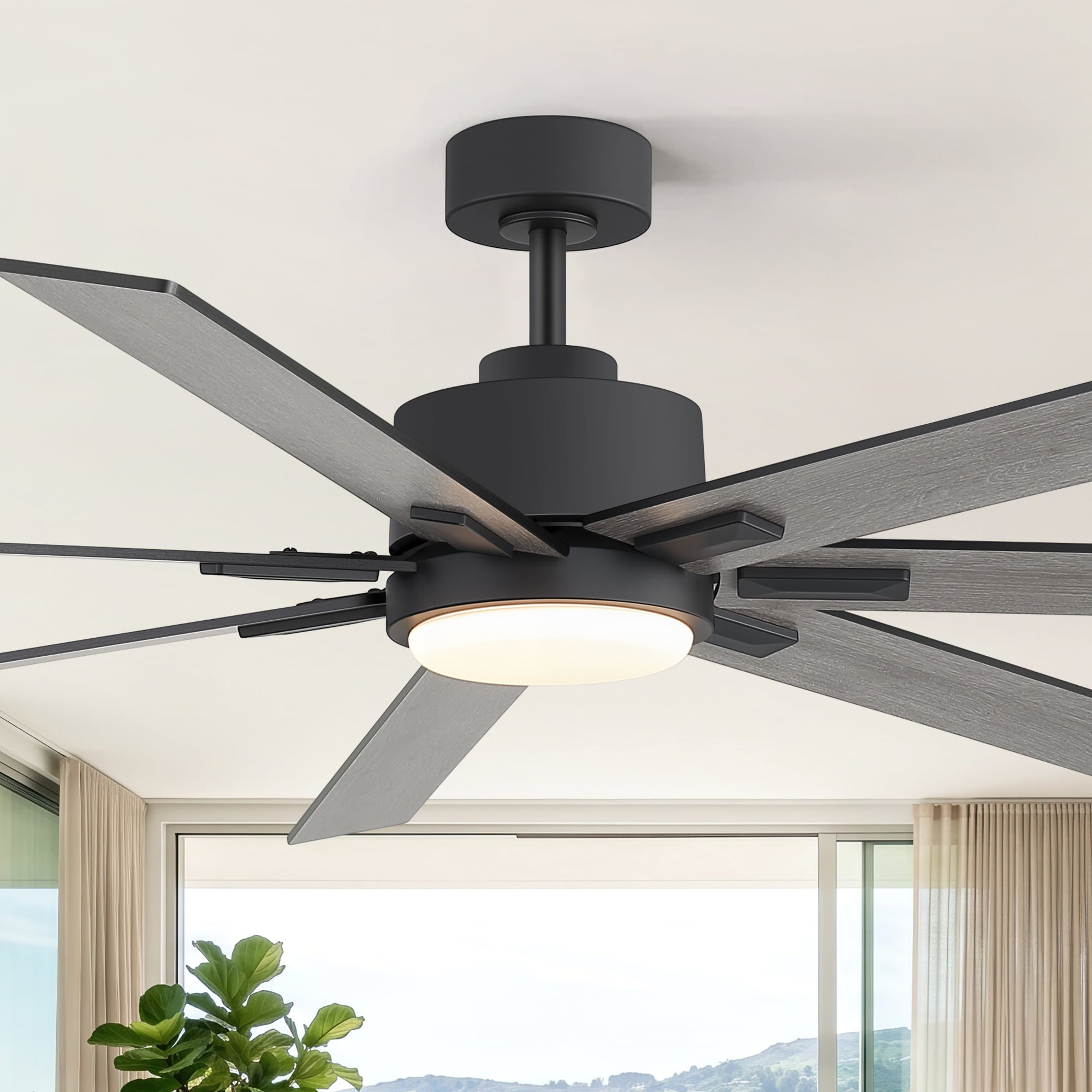 Flashwind A42ZY42004BK Ceiling-Fans - View #3