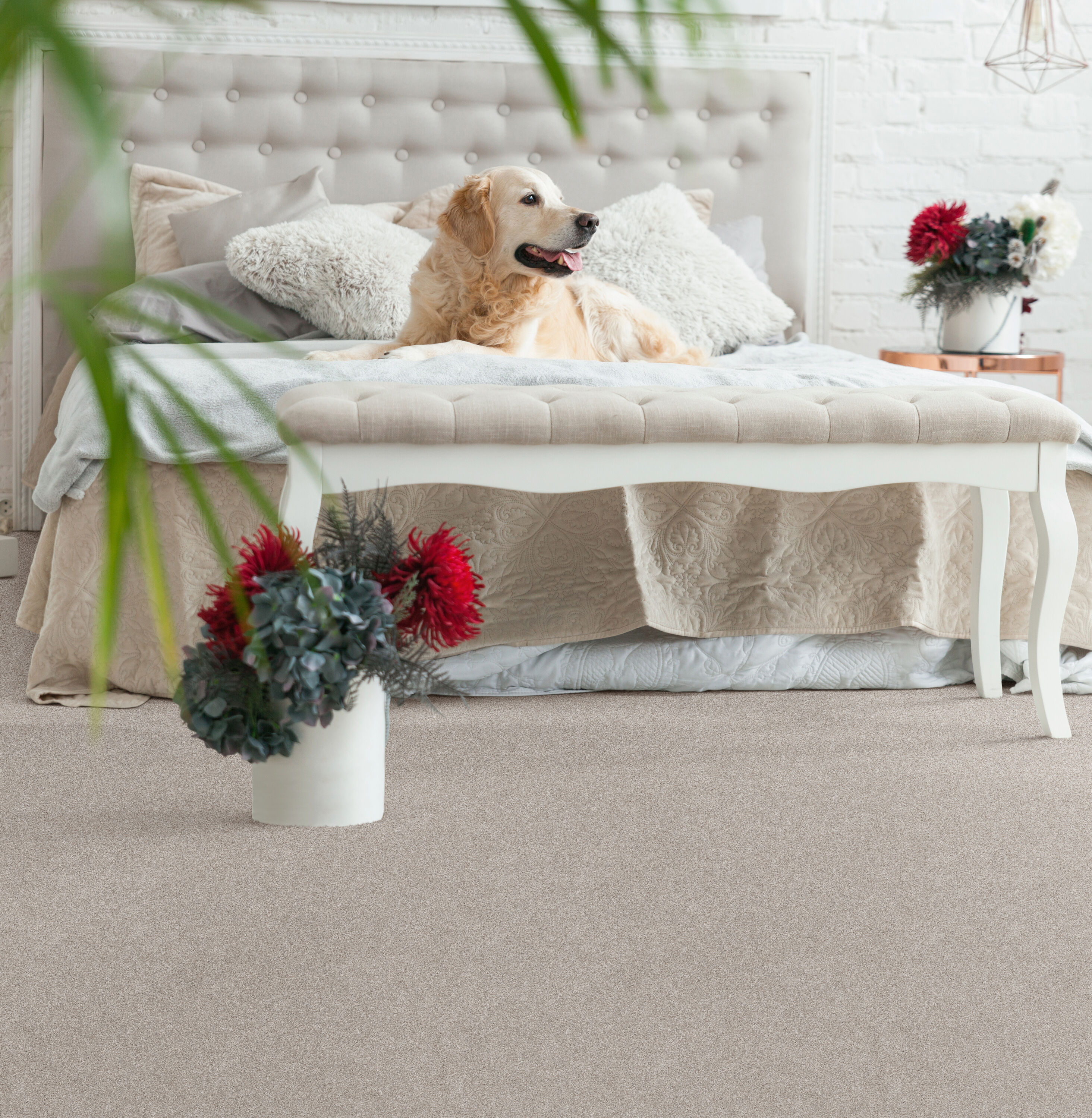 STAINMASTER PetProtect 7L90700128 Carpet-Panel - View #4