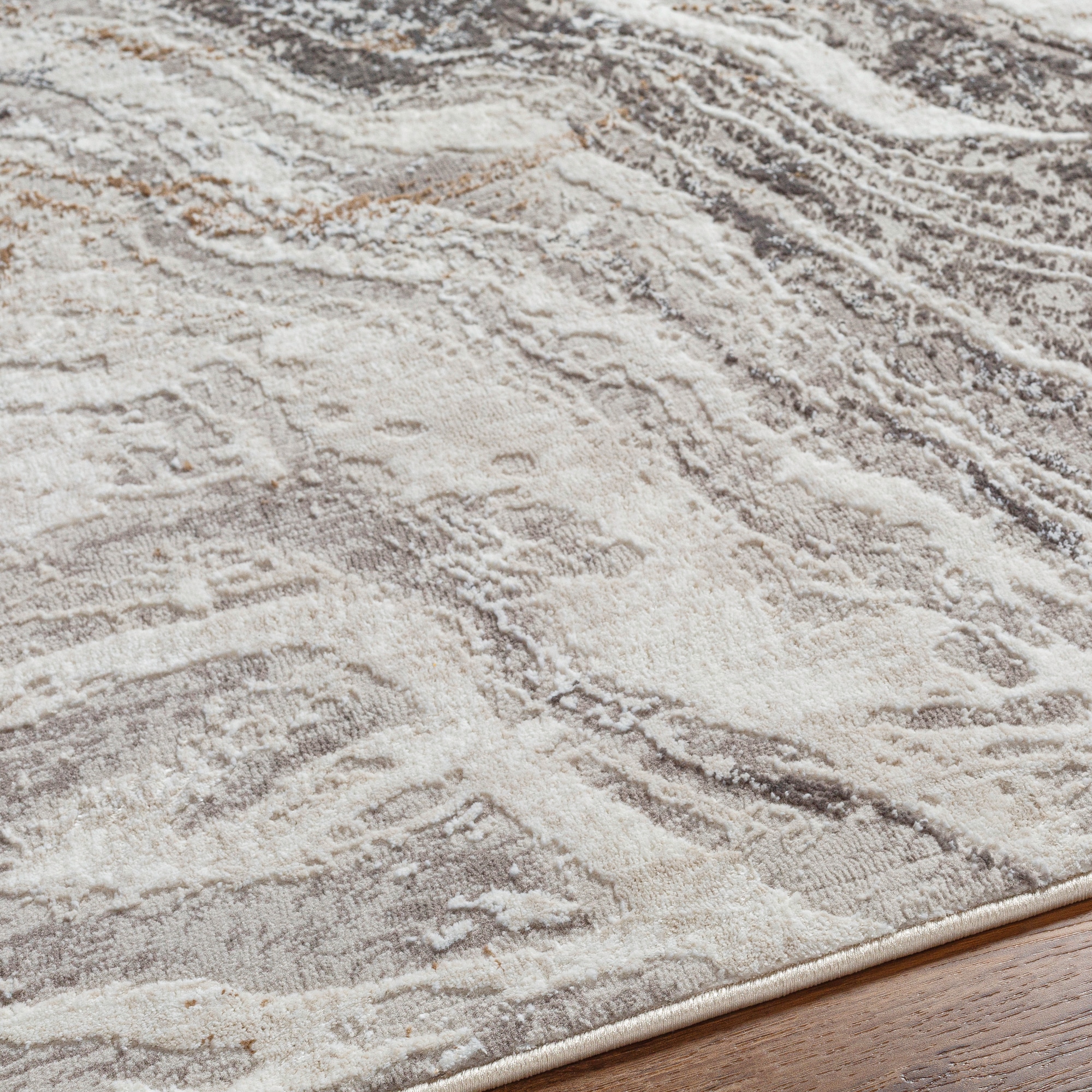 Livabliss ALG2319-679 rugs - View #5
