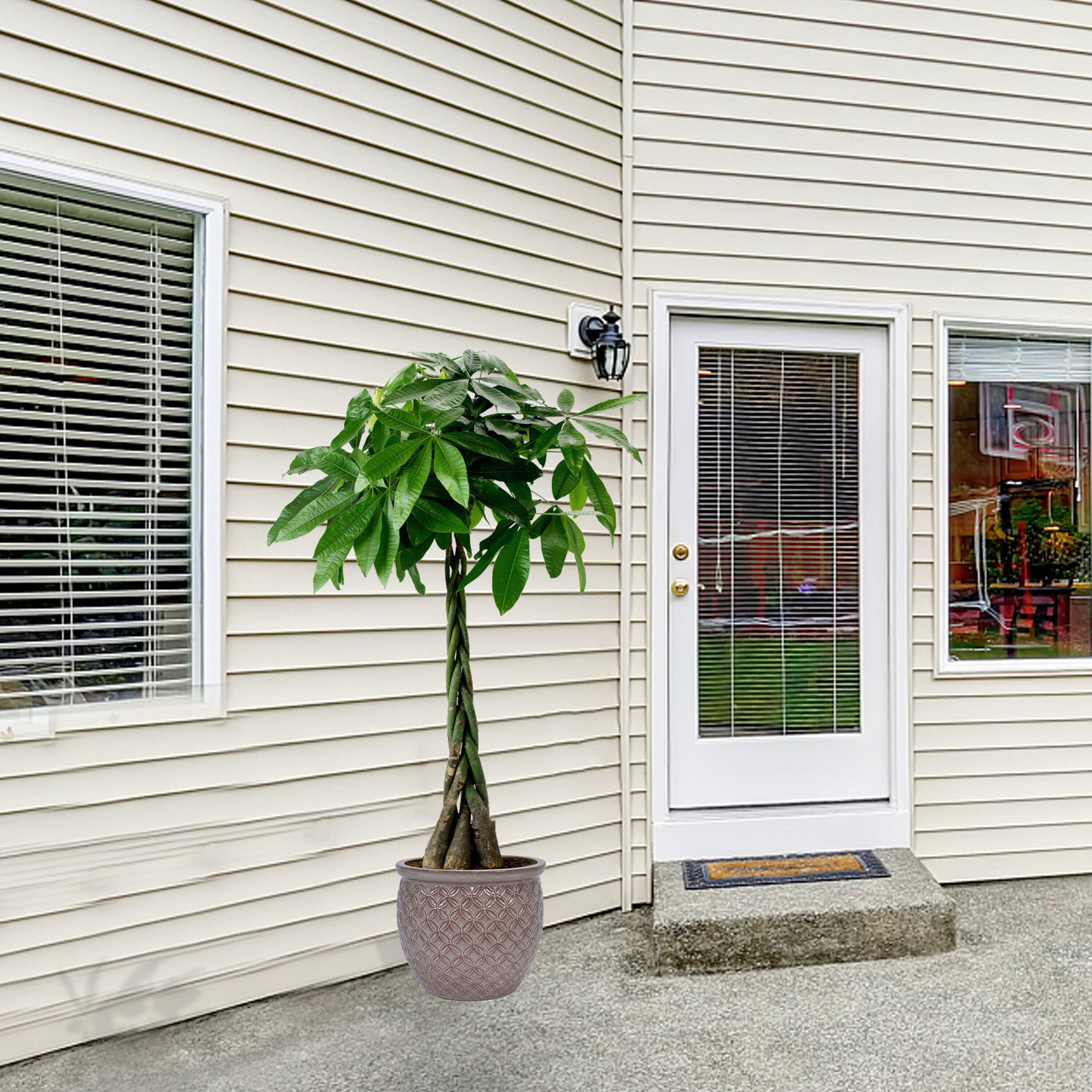 AHIOU HOME ZAAHG-P321486PP Planter-Window-Box - View #6