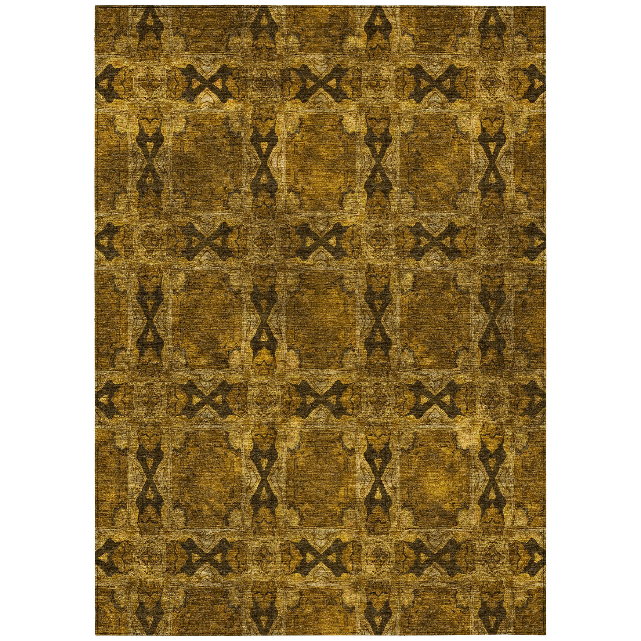 Addison Rugs ACN564CH30X46 rugs - View #2
