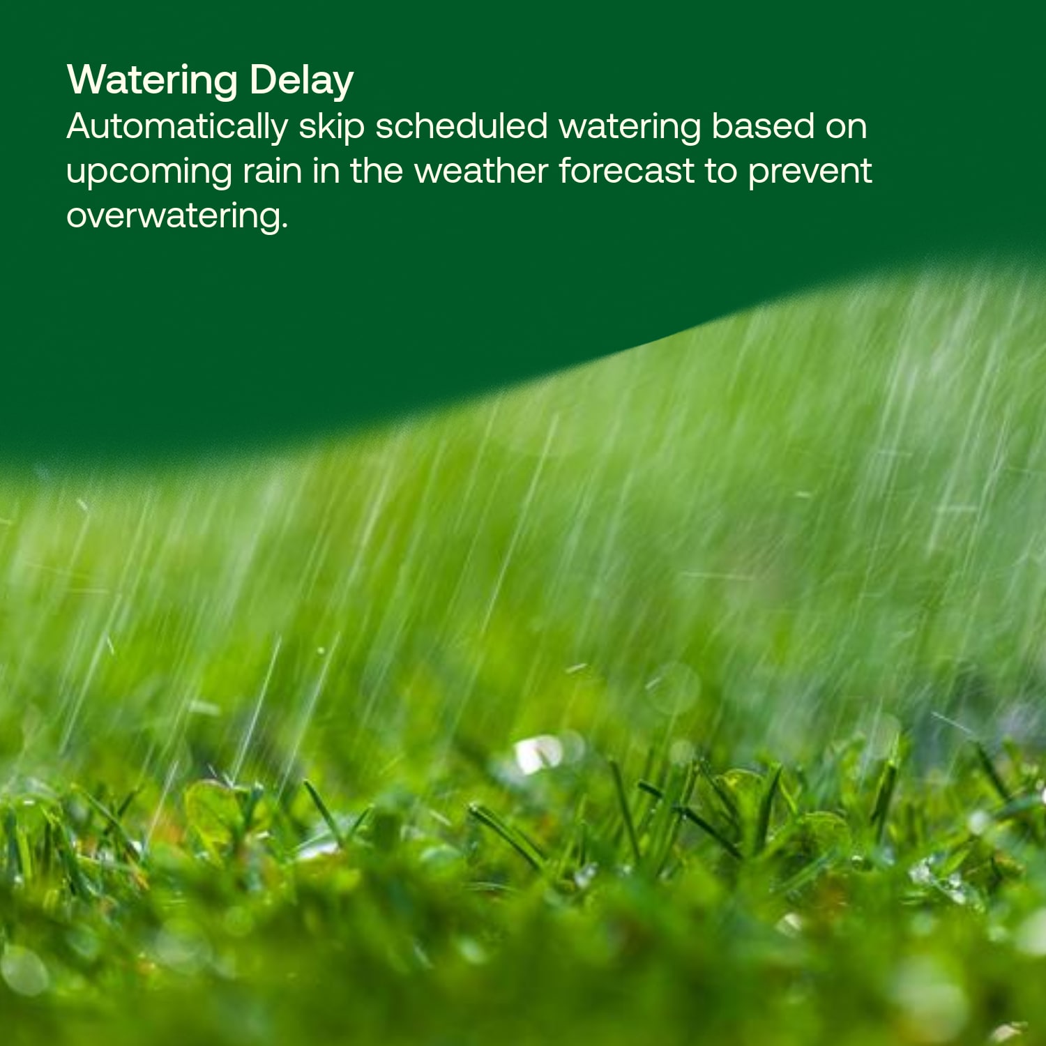 Rain Bird C53115 Irrigation-Timers - View #5