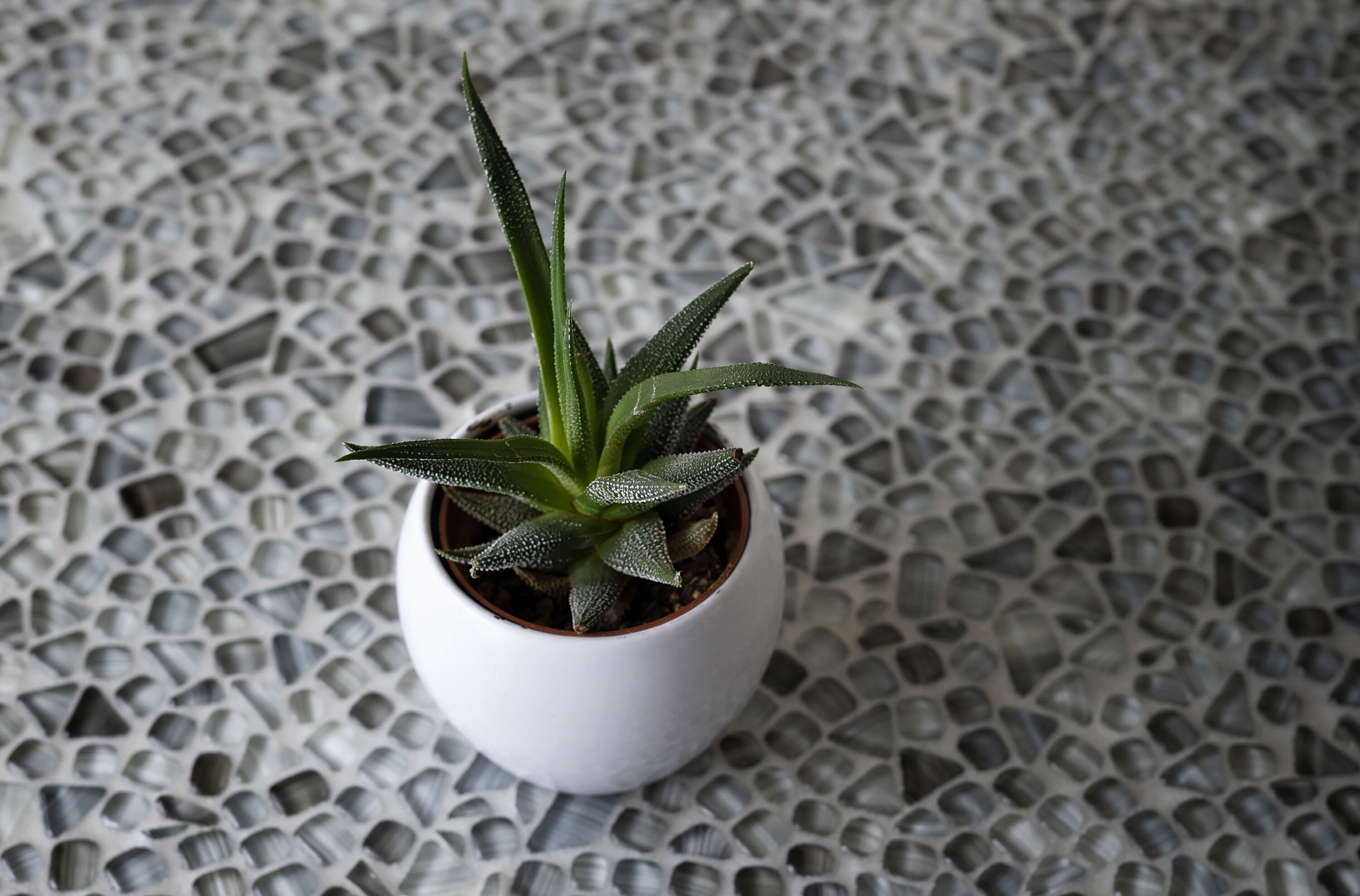 Apollo Tile APLGEM8812A Ceramic-Tile - View #8
