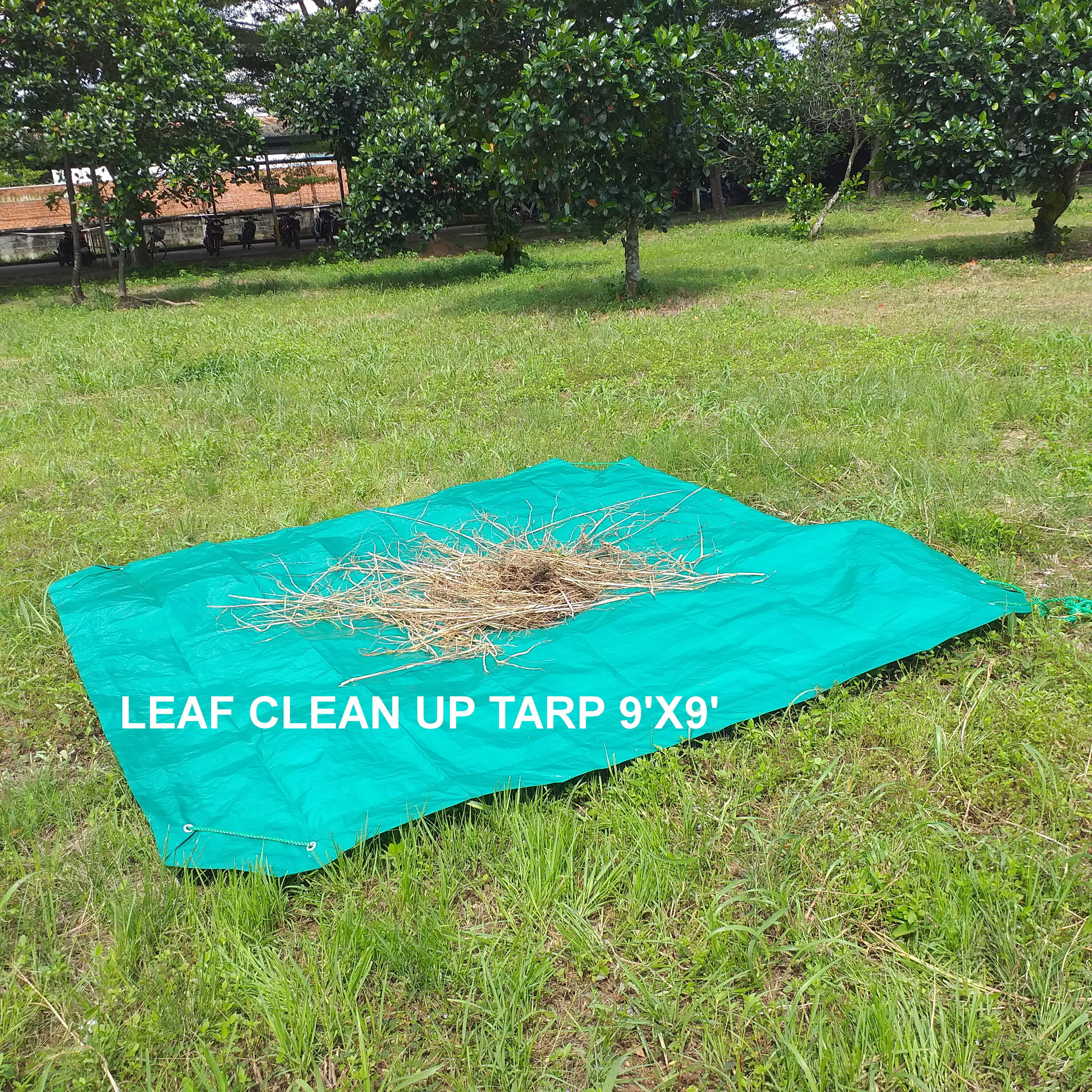 Project Source CHST9X9-M tarps - View #4