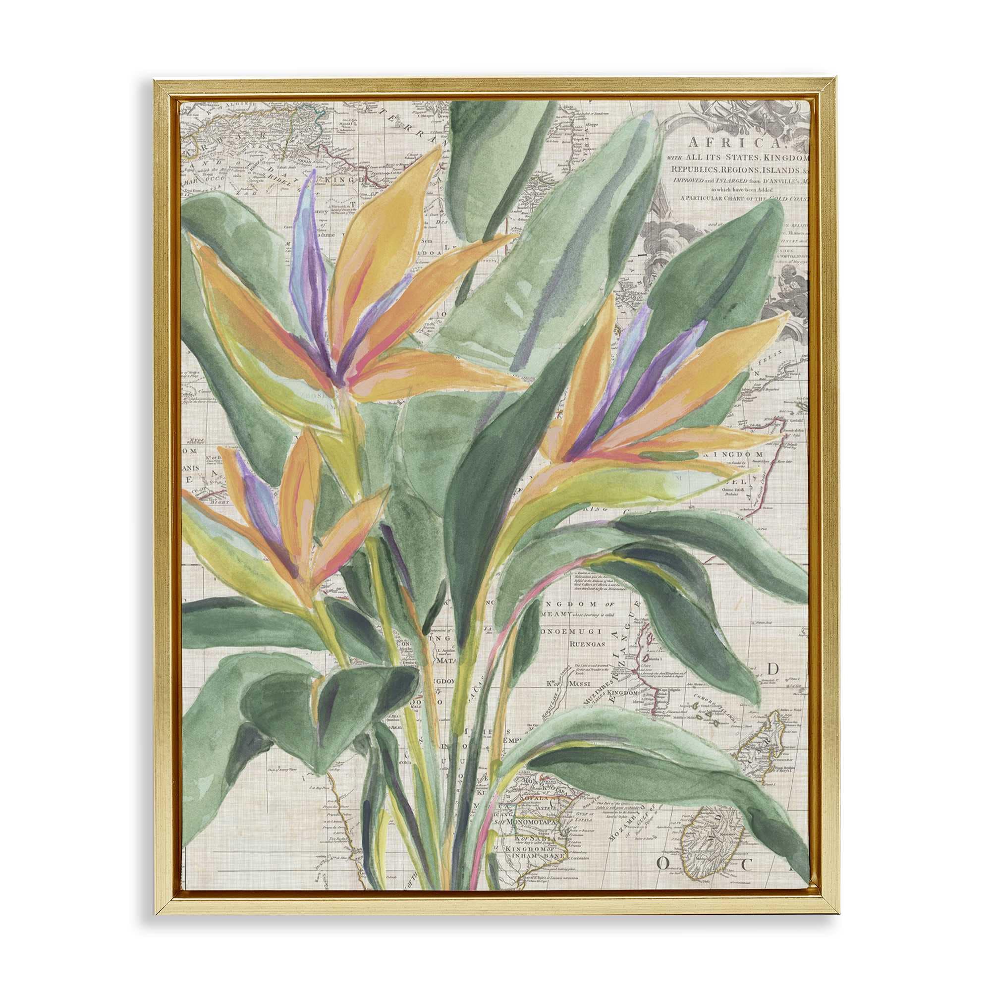 Stupell Industries BS-389-FFG-16X20 Bird of Paradise over Map Floating Frame design by June Erica Vess