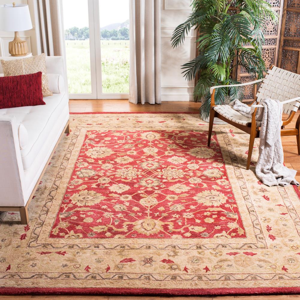 Safavieh AN522A-6SQ rugs - View #2