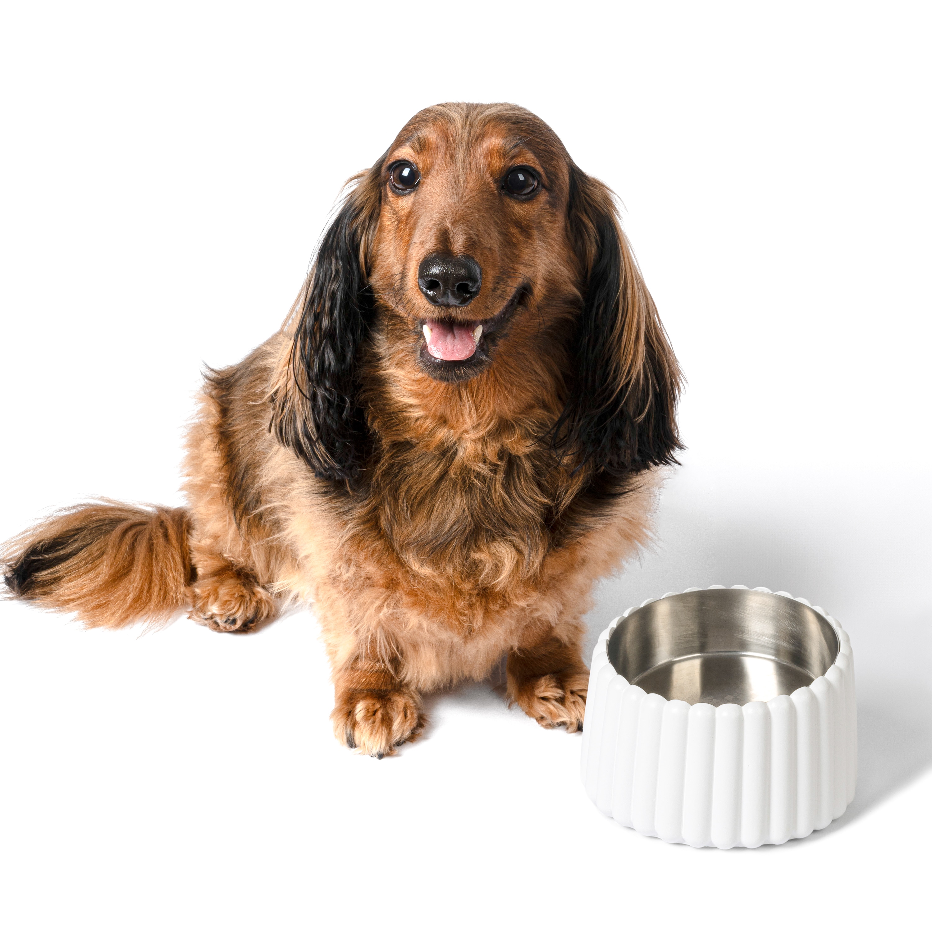 The Licker Store DBL3001B Pet-Bowls - View #5
