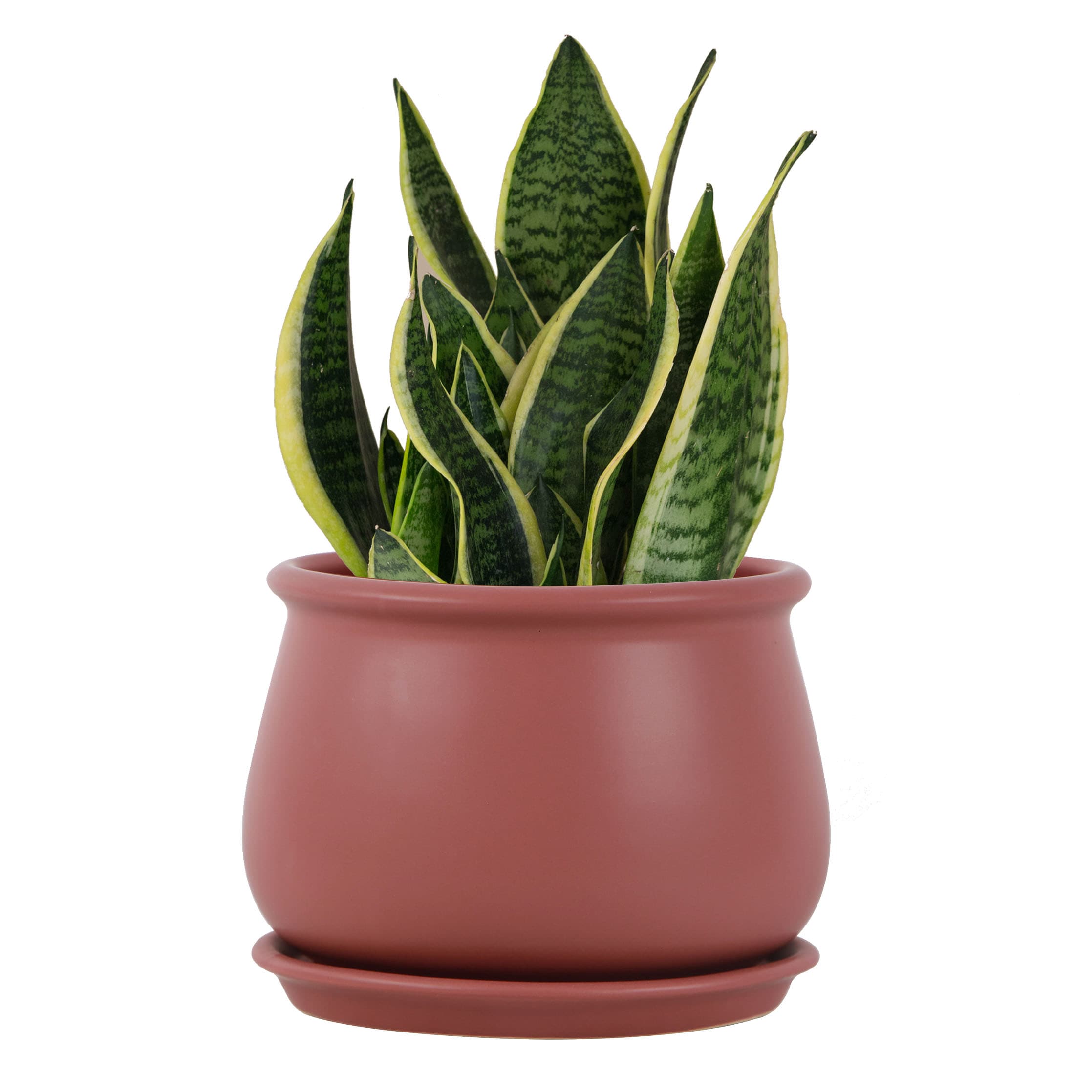 allen + roth CR01890S-08R Planter-Window-Box - View #9