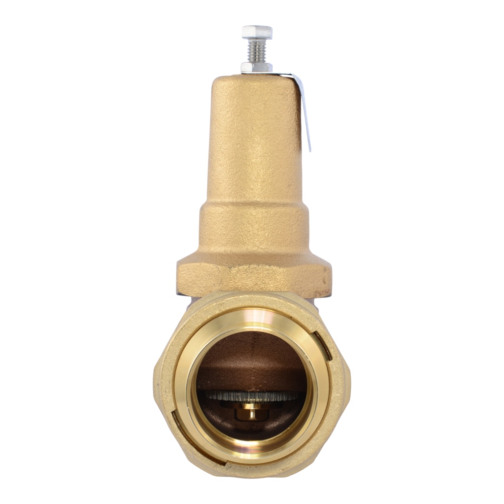 Cash Acme PVA54M-DUSW-60 Pressure-Relief-Valves-Regulators - View #2