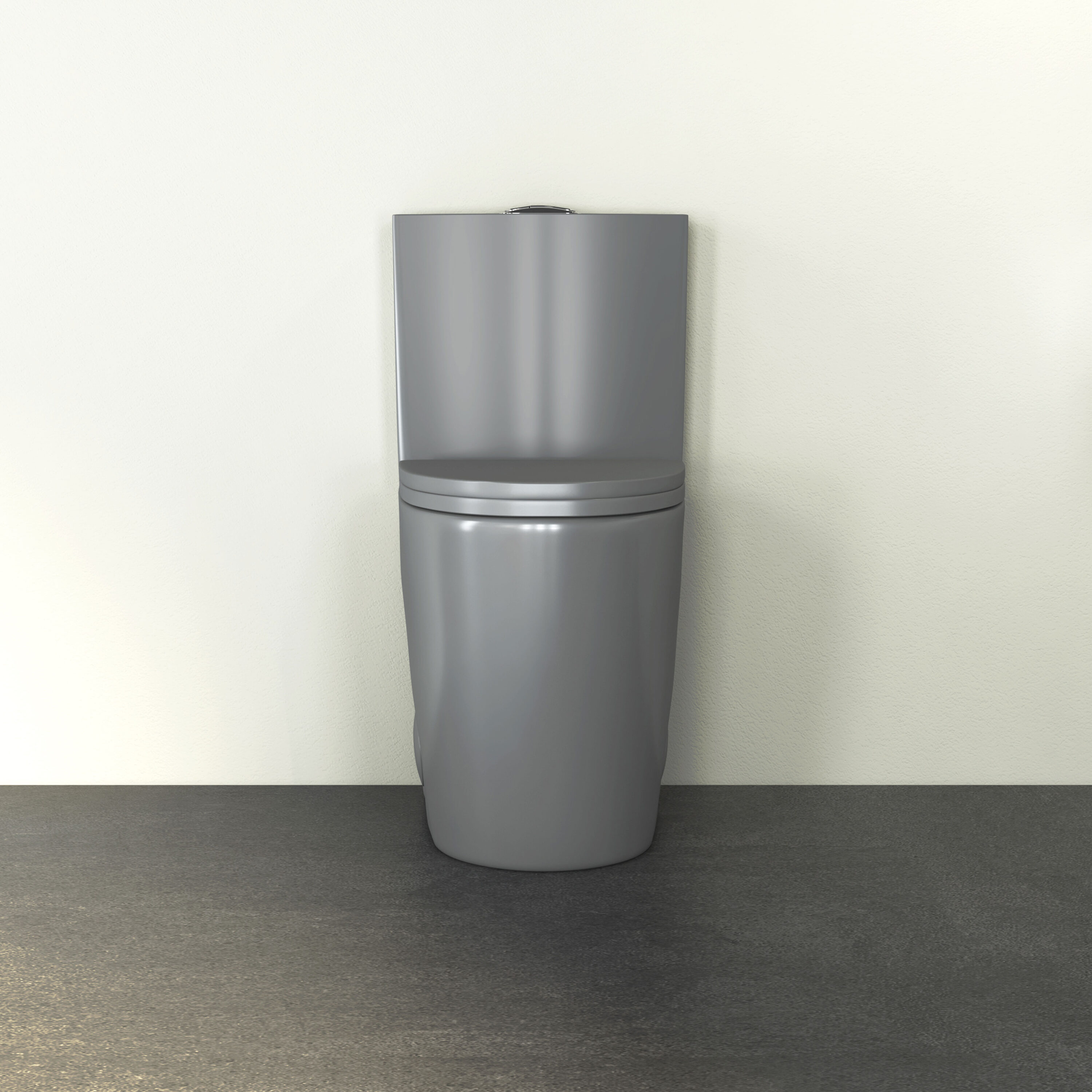 Eridanus ERI-1T323LG toilets - View #12