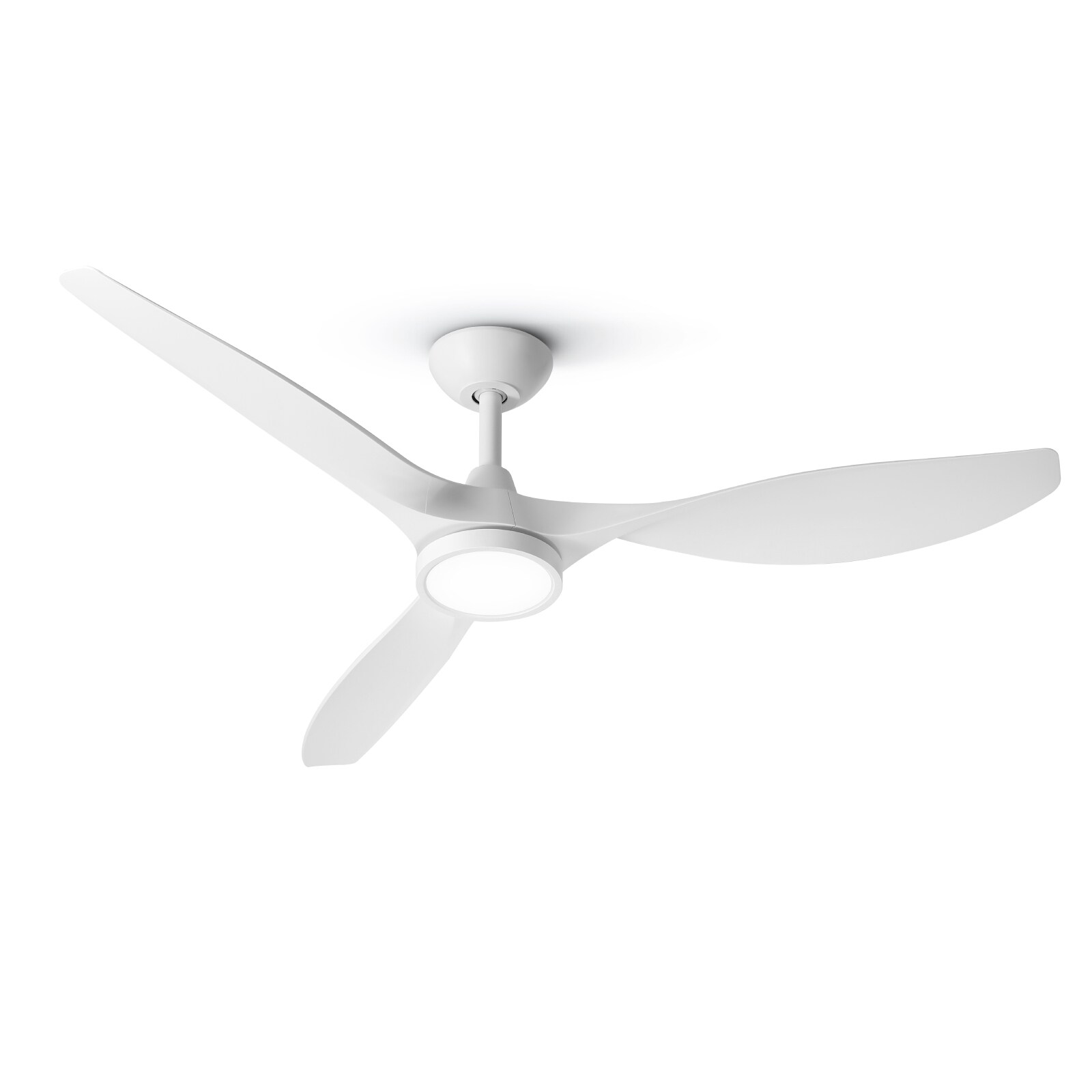 TALOYA TLY-RT-WE-D52 Ceiling-Fans - View #10