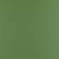 Pale Green