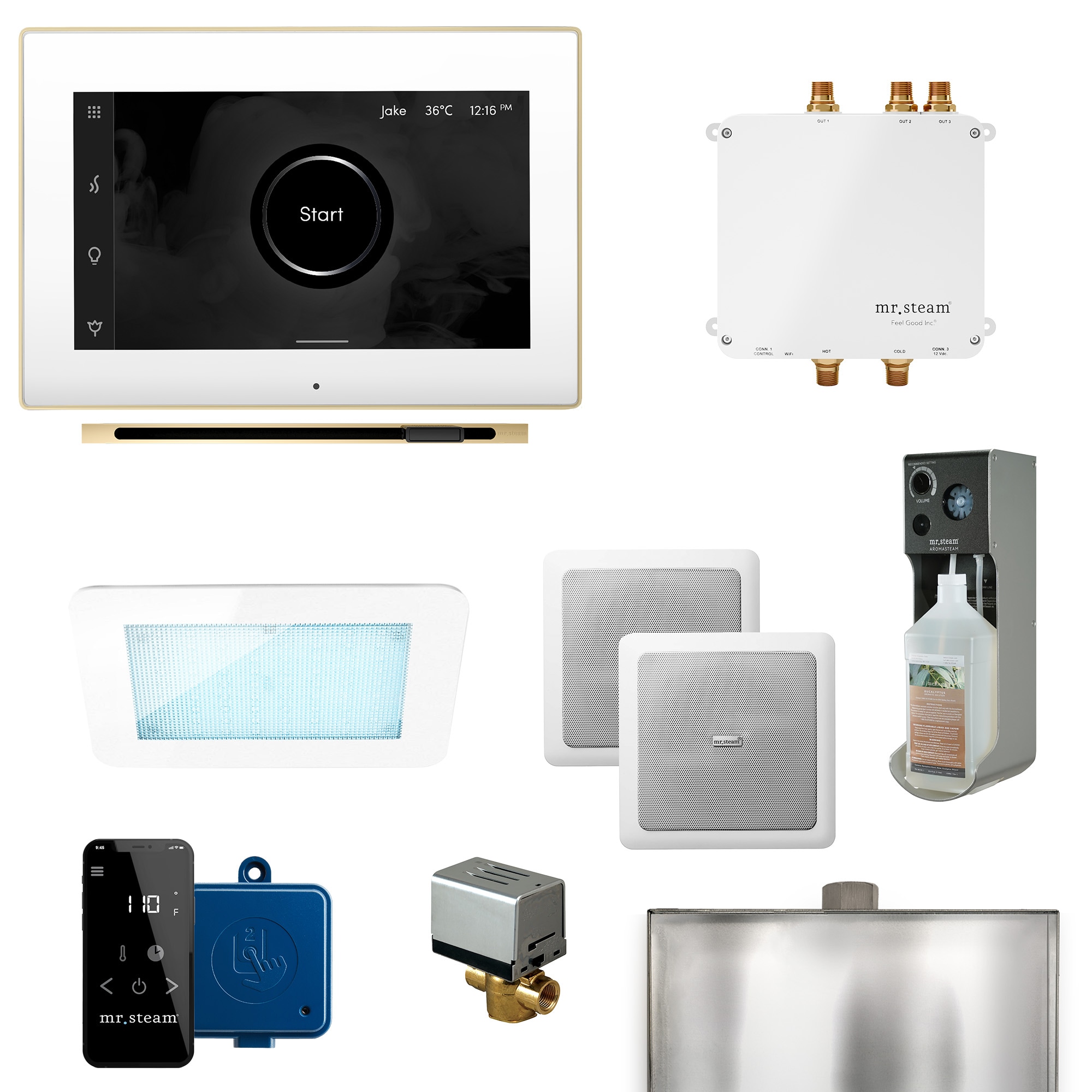 Mr. Steam BLS-BKLSB Bliss Linear 600-Watt Satin Brass Steam generator control kit