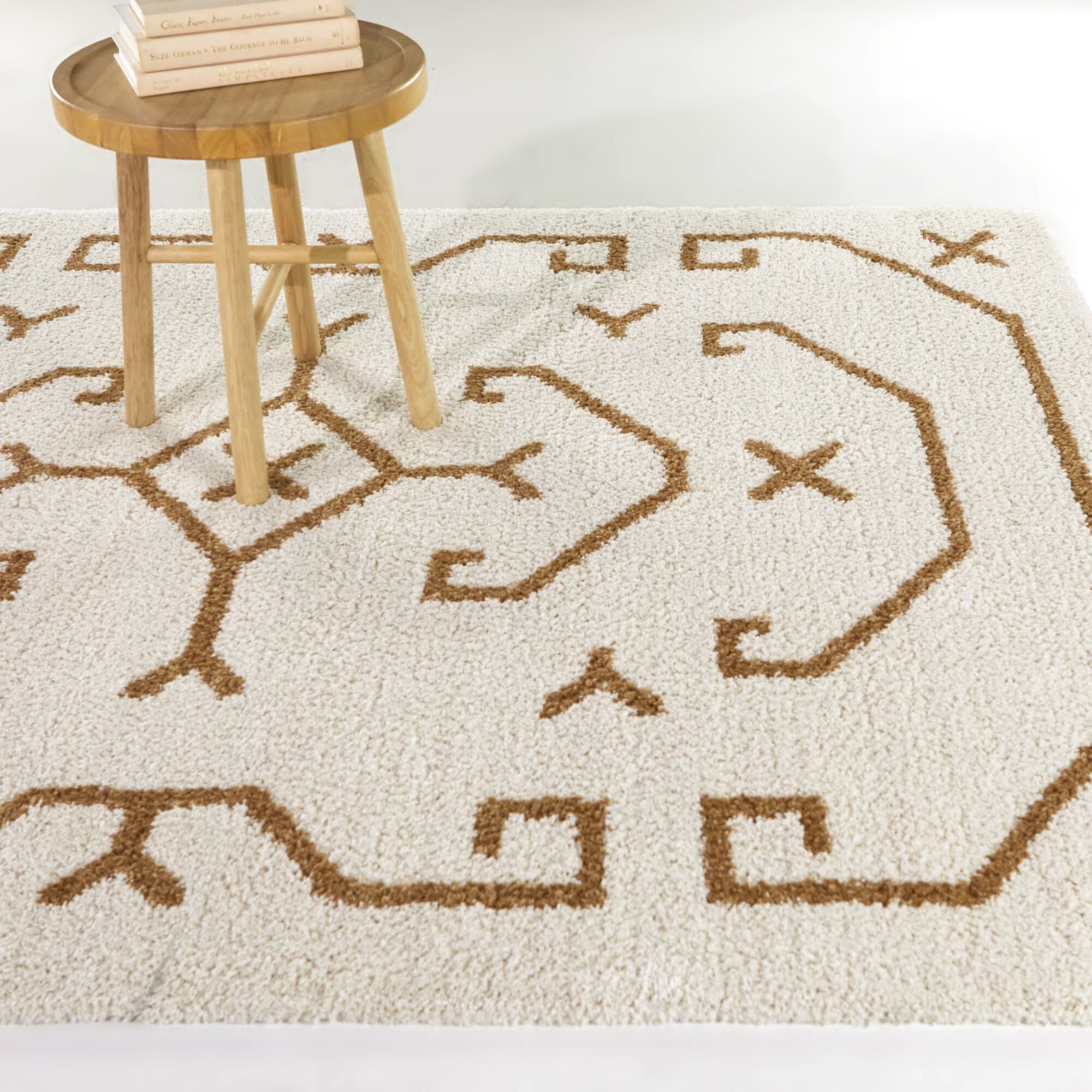 Balta 3116776 5 x 6 (ft) Polypropylene Brown Rectangular Indoor Medallion Bohemian/Eclectic Area rug