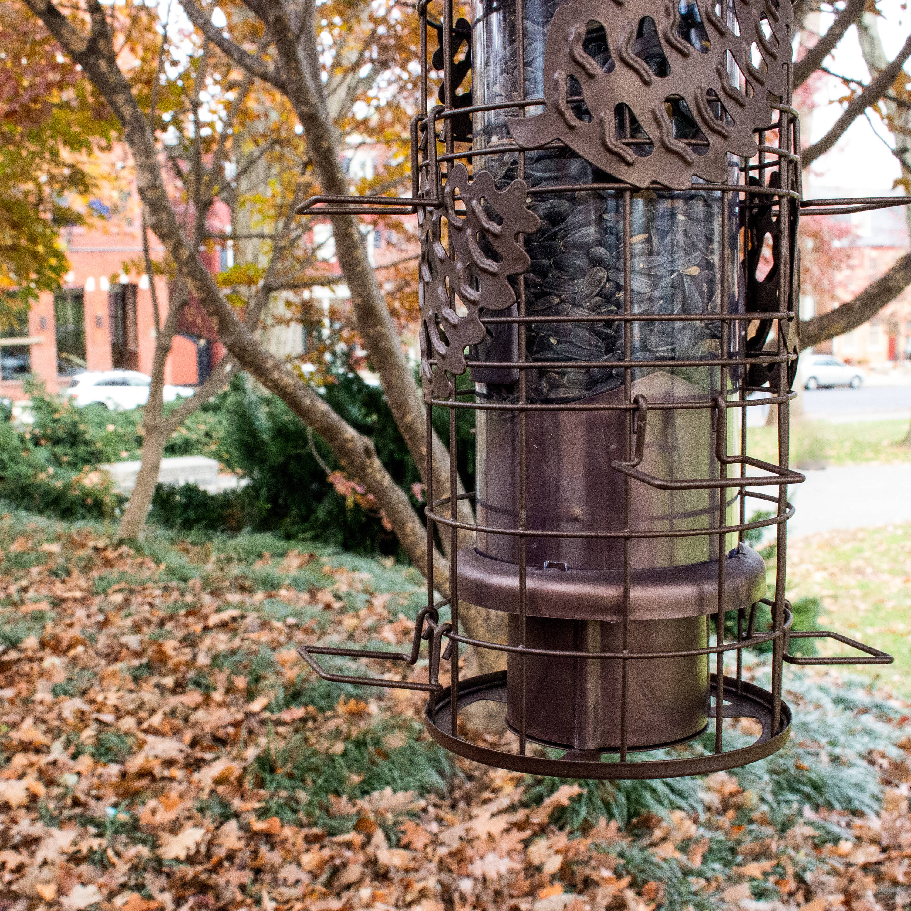 Perky-Pet SBG101 Bird-Feeders - View #8