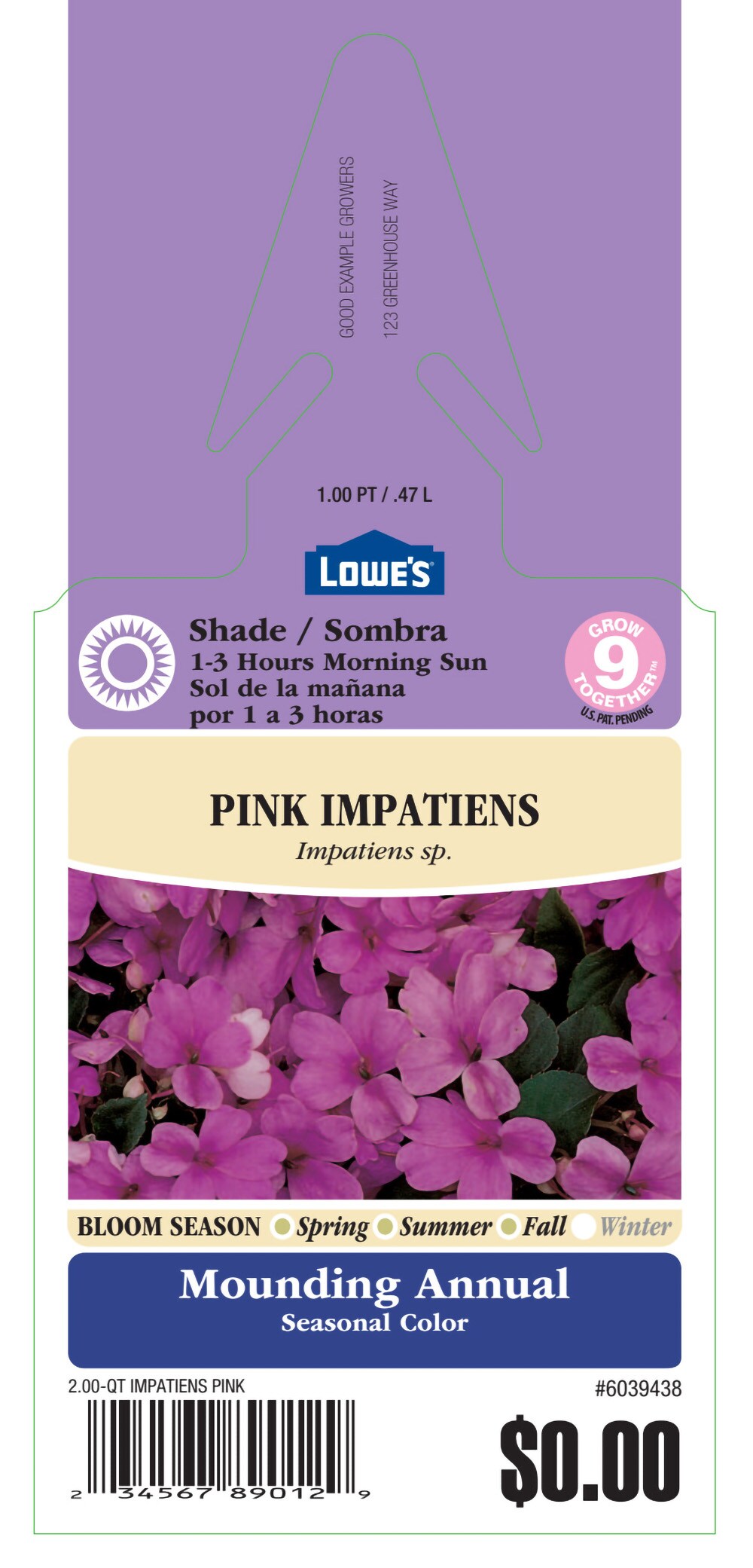  6039438 annuals - View #3