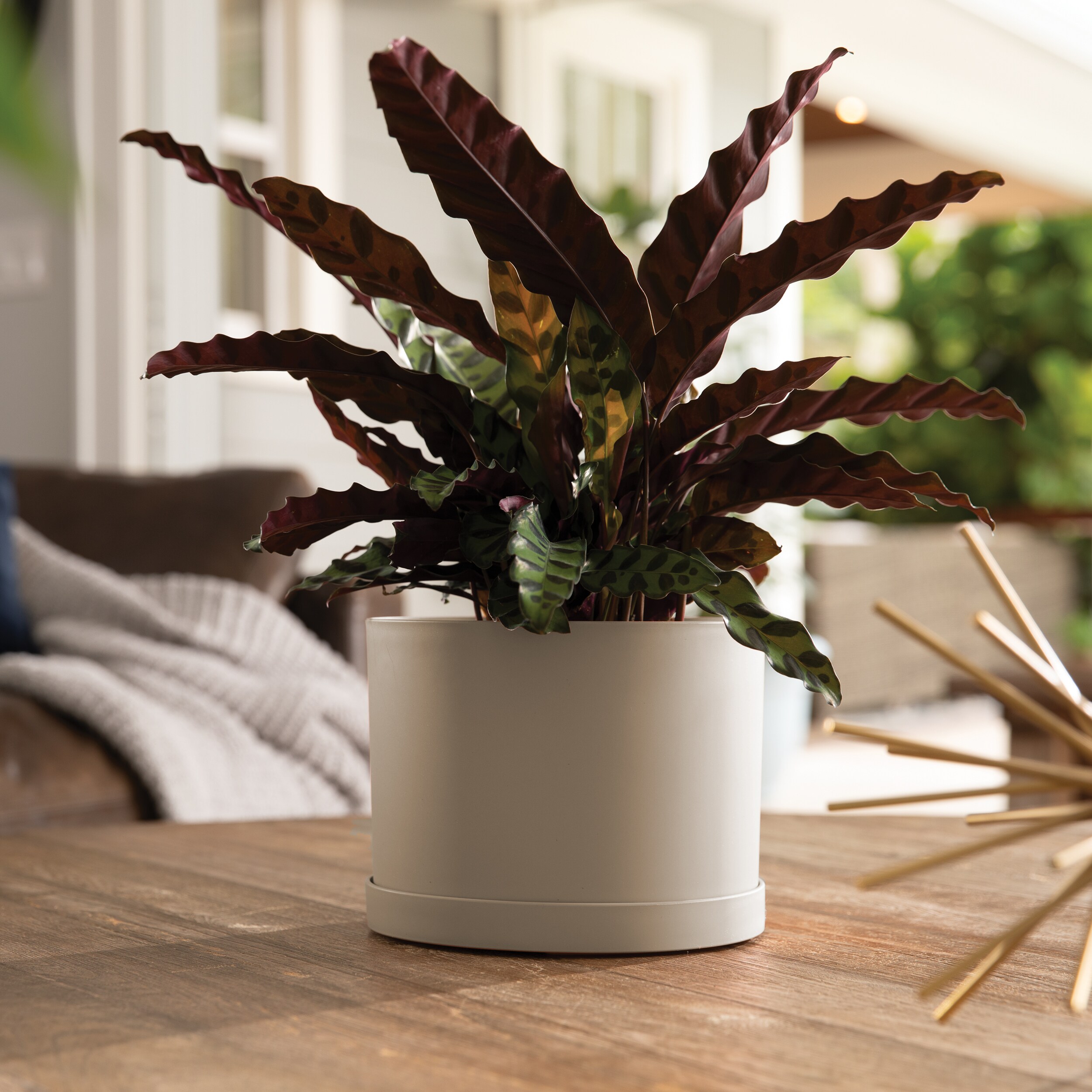 allen + roth MAT0683 Planter-Window-Box - View #2