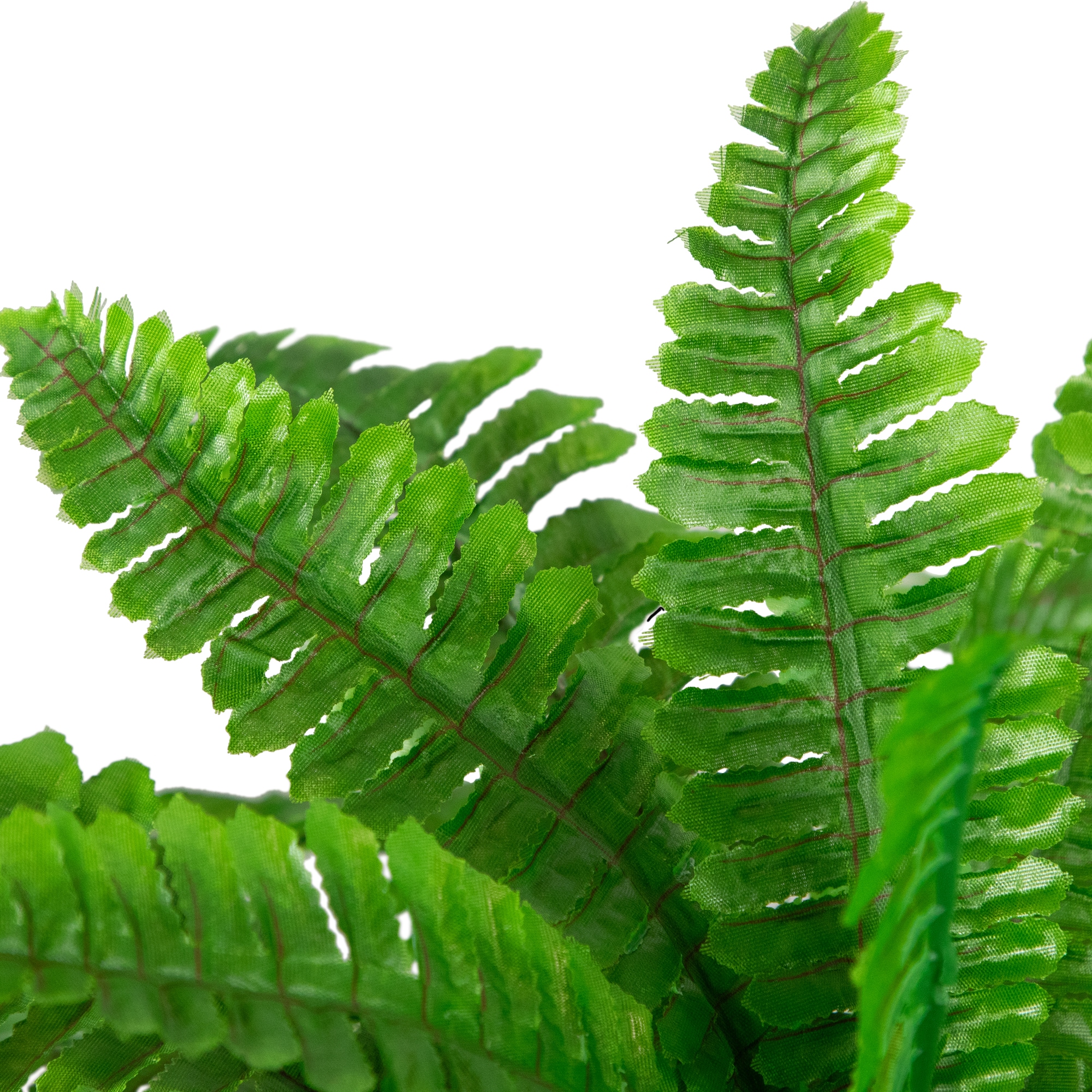 Northlight 32035988 Artificial-Plants-Trees - View #6
