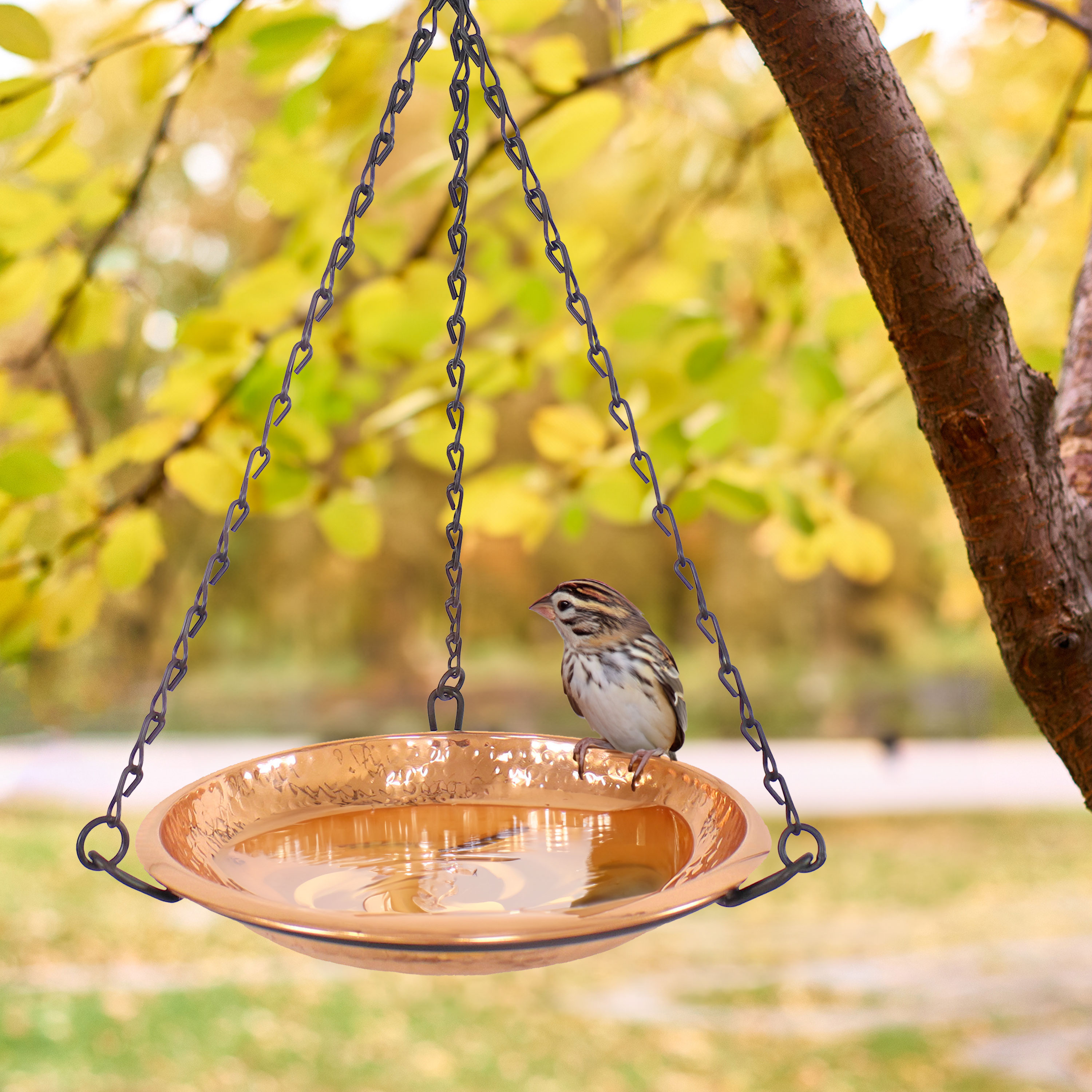Hand-Hammered Copper Hanging Bird Bath Feeder with Iron Chains