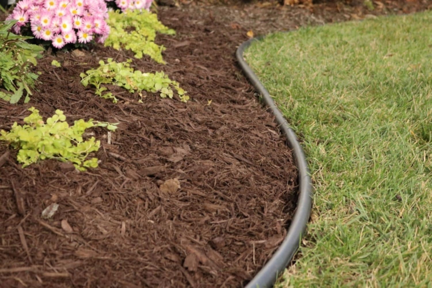 Valley View Industries EDG-40NP edging - View #6