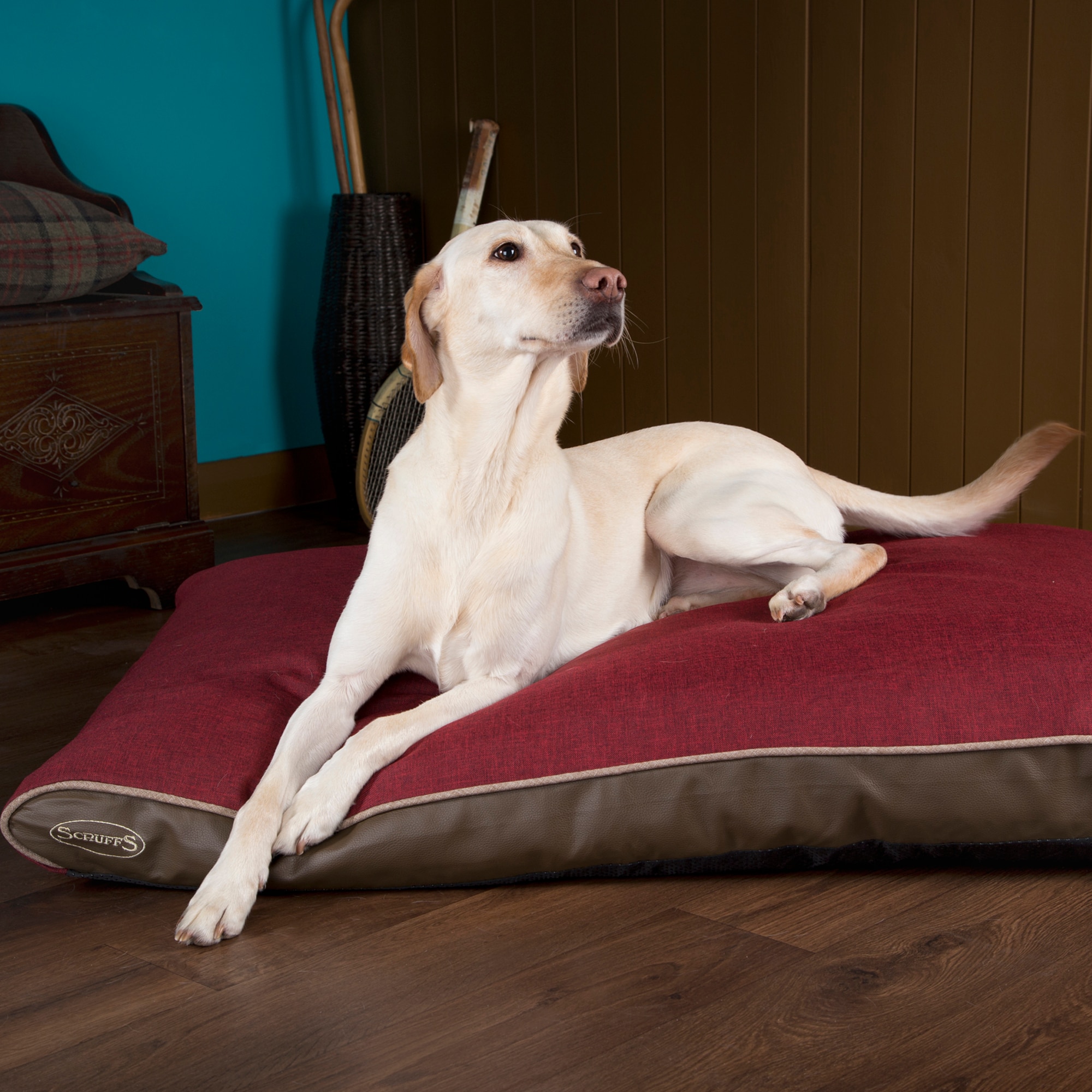 Fashion scruffs memory dog bed