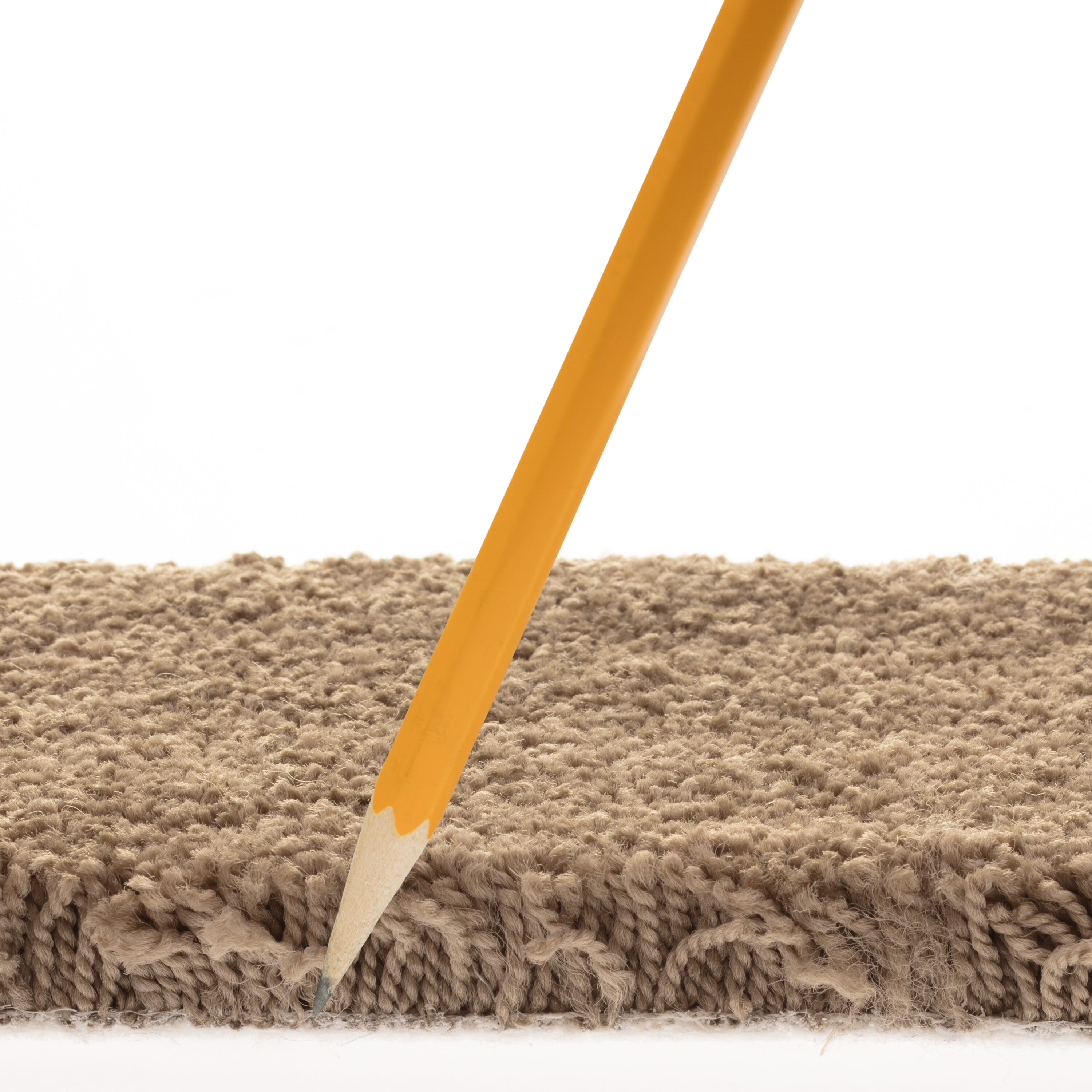 STAINMASTER PetProtect 7L883 - 521 - SAMP Carpet-Samples - View #7