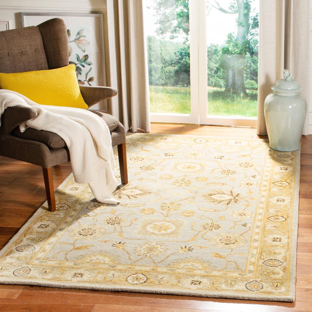 Safavieh AN556B-5 rugs - View #2