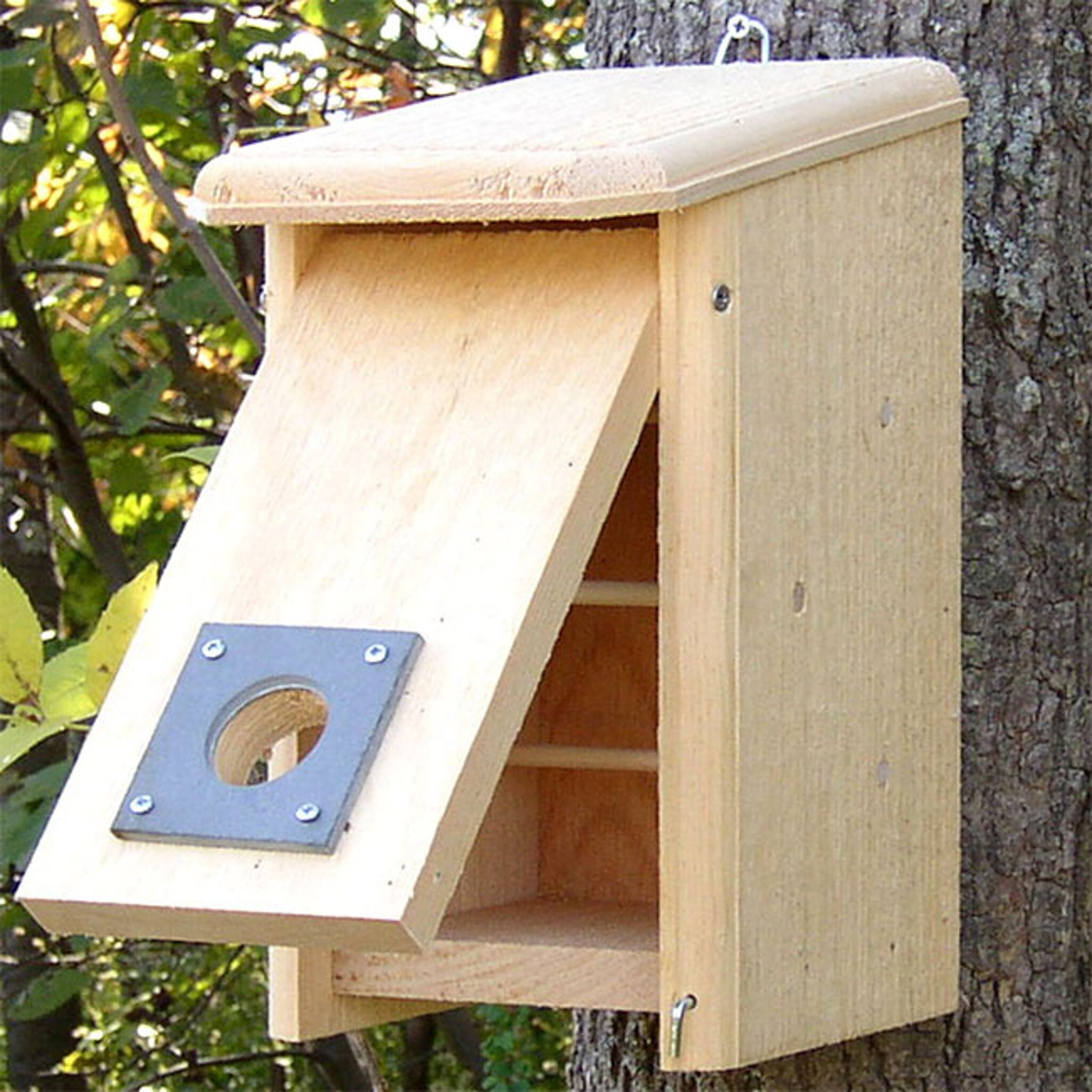 Coveside Conservation COV-10097 12.375-Inches H Natural Wood Chickadees Bird house accessories Predator Proof Bird House