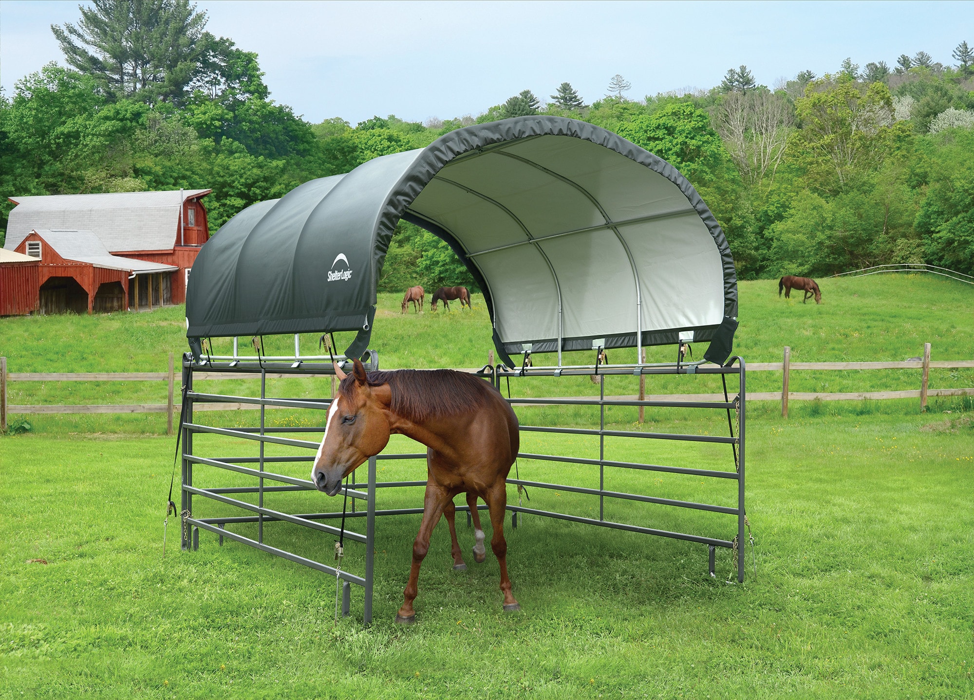 ShelterLogic Canopy Storage Shelters at Lowes.com