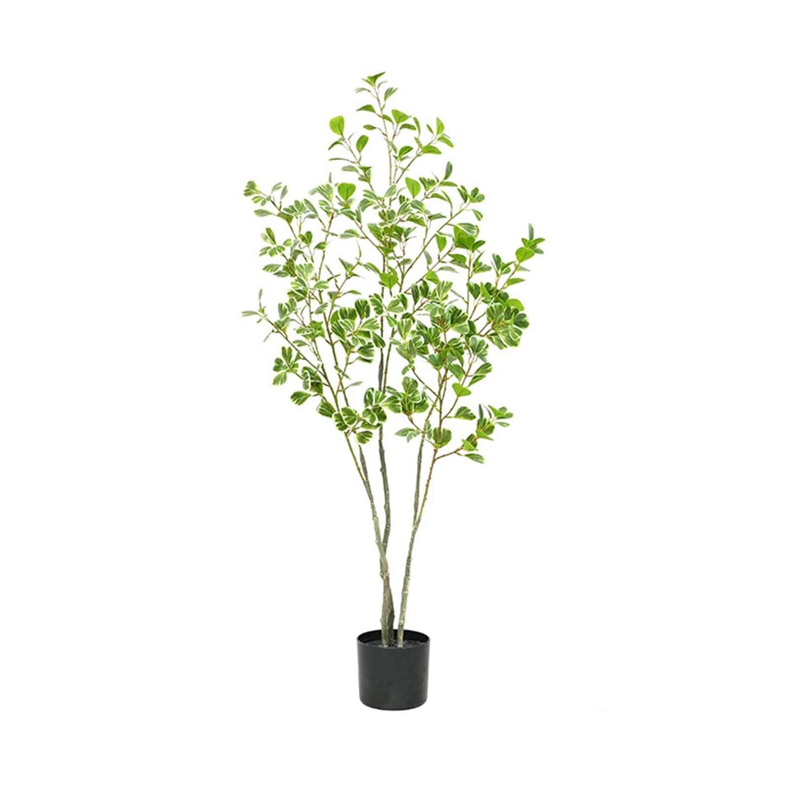 WhizMax WLS-FQZOL-S437NTRW Artificial Ficus Tree Large Simulated Ficus Tree with Smooth And Shiny Leaves Faux Plants